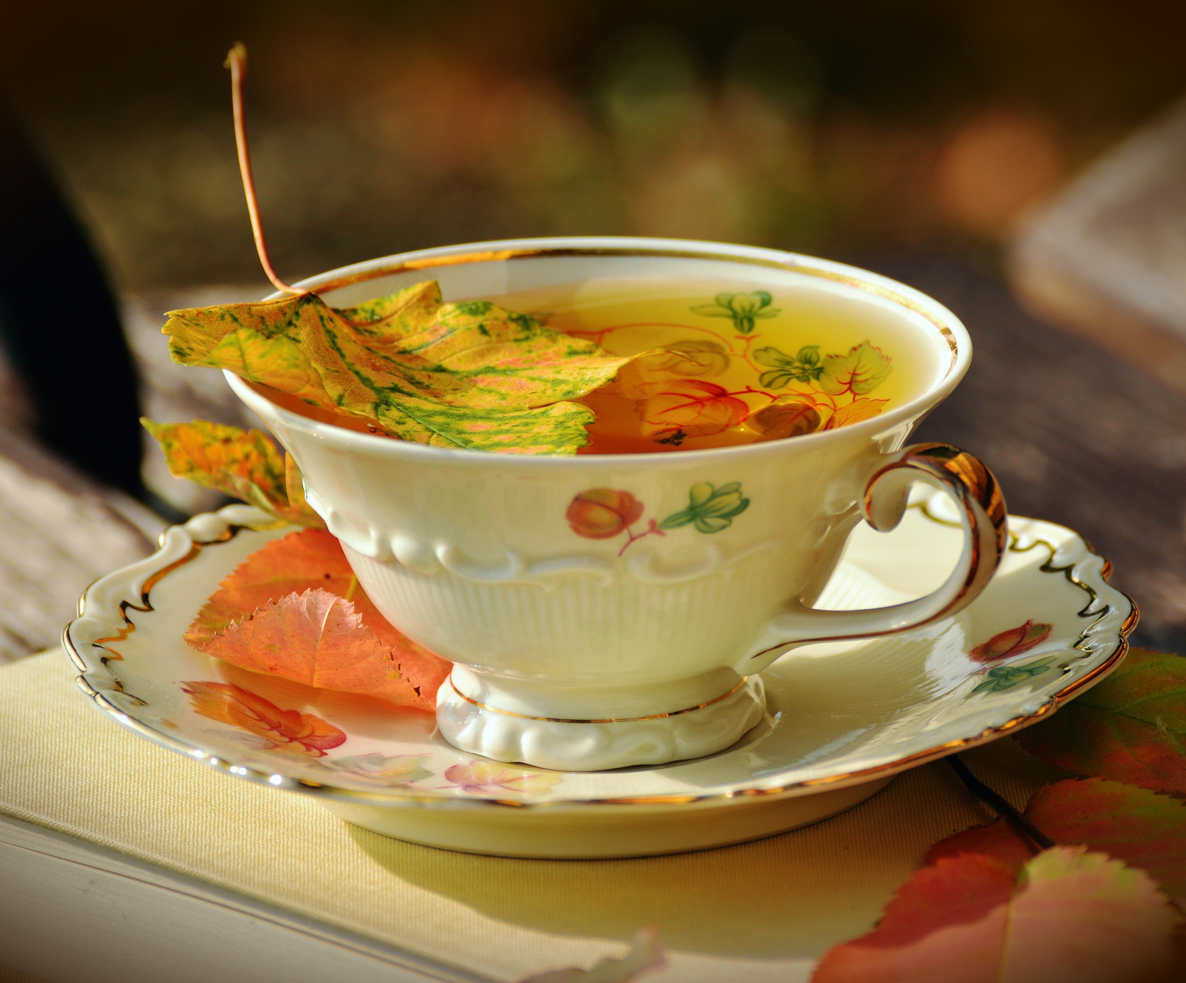 autumn, cup, tea, food collection of HD images
