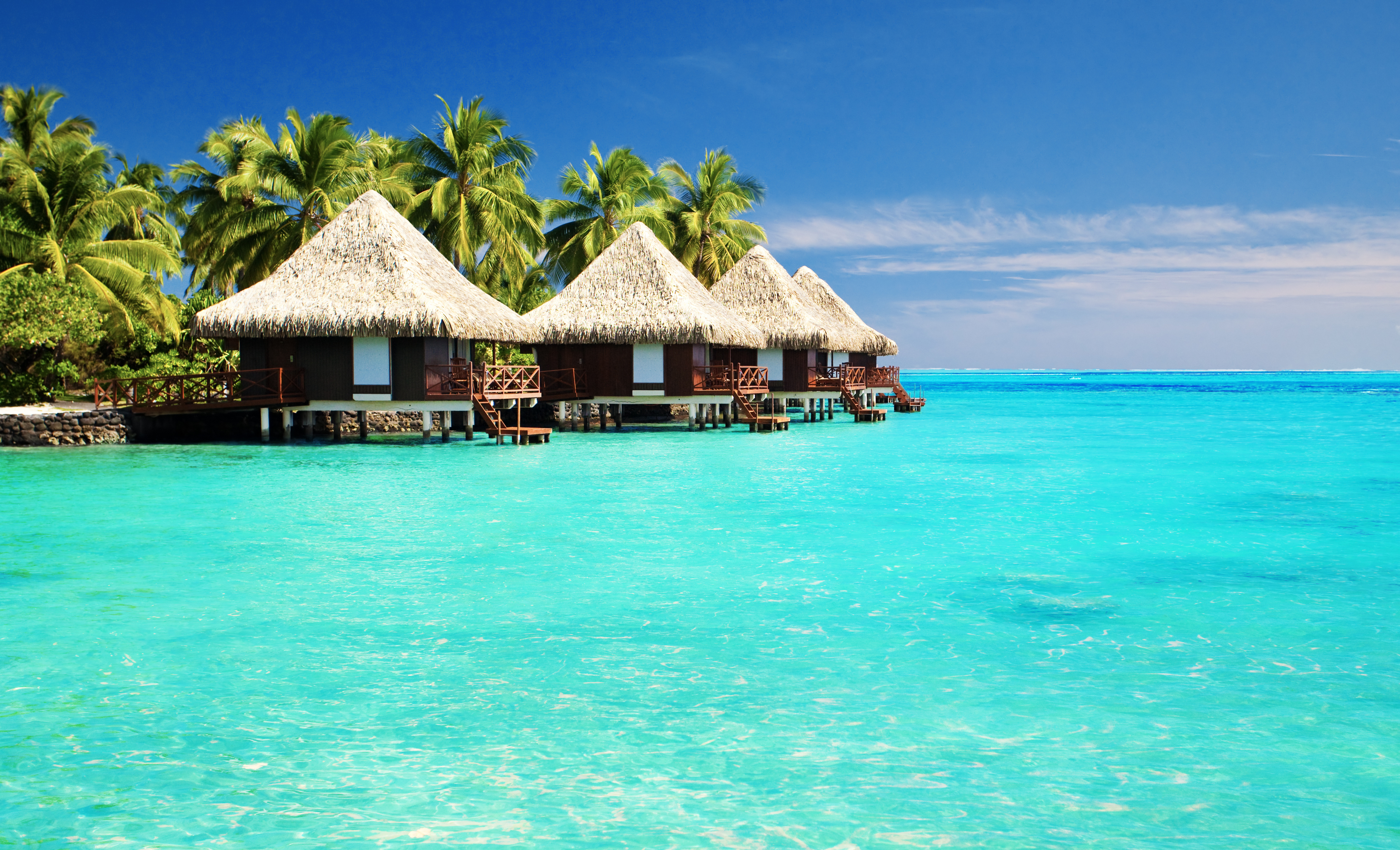 tropics, bungalow, lagoon, tropical, turquoise, palm tree, hut, photography, sea, ocean