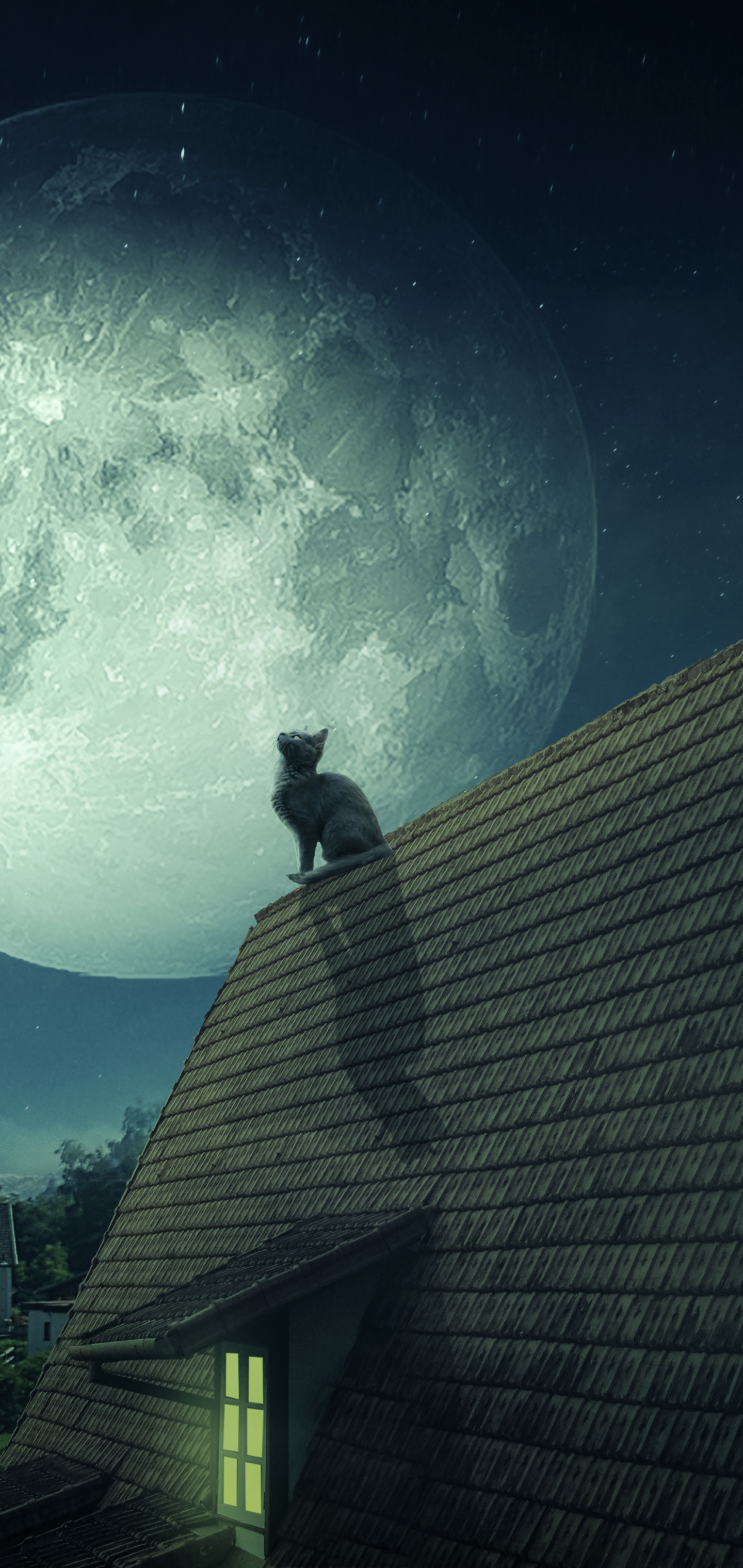 Mobile wallpaper: Cats, Night, Moon, Cat, Animal, Roof, 1171964 download  the picture for free.