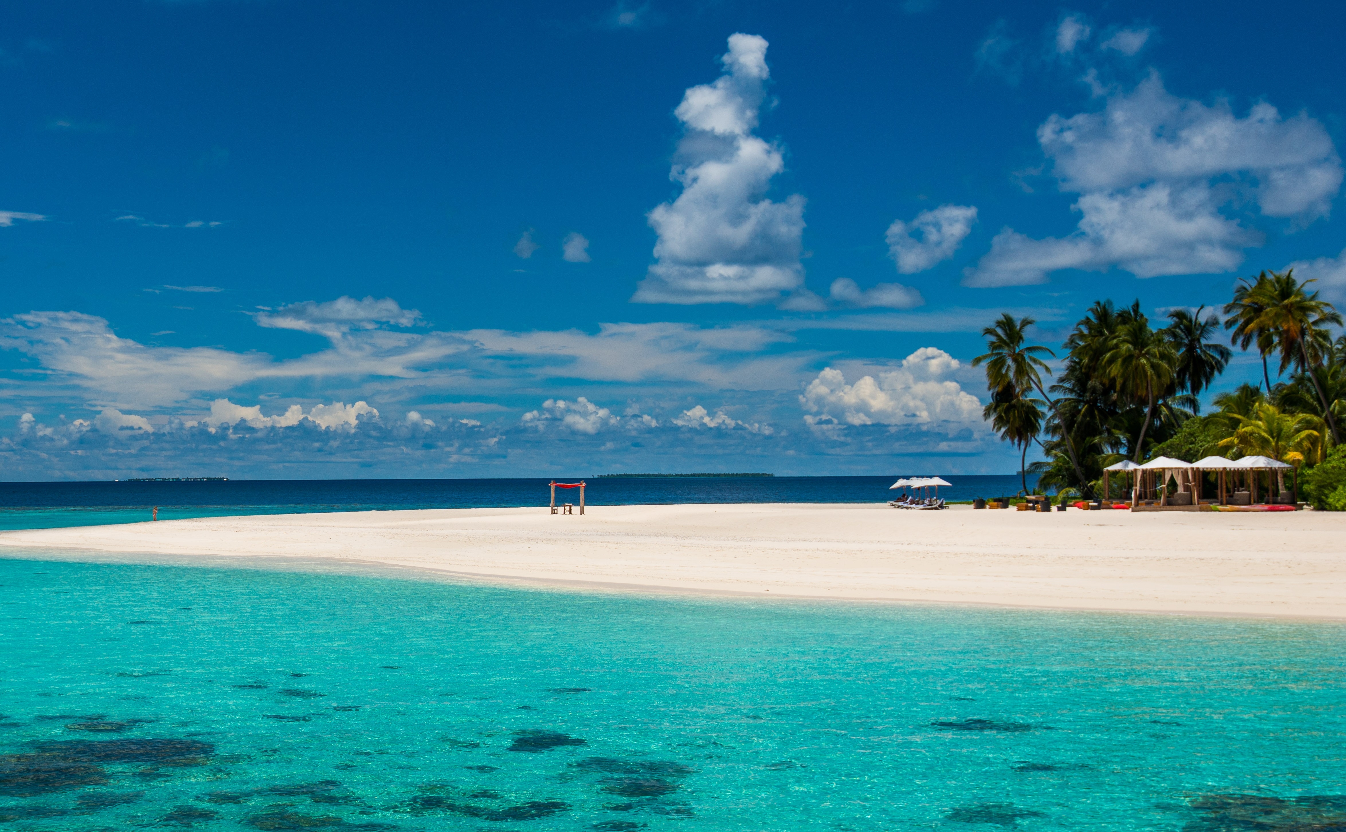 147751 télécharger le fond d'écran plage, nature, palms, tropiques, recours, maldives - économiseurs d'écran et images gratuitement
