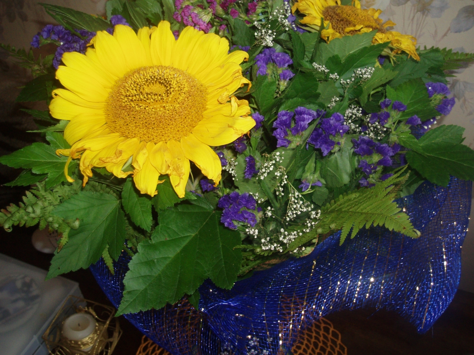 Laden Sie das Pflanzen, Sonnenblumen-Bild kostenlos auf Ihren PC-Desktop herunter