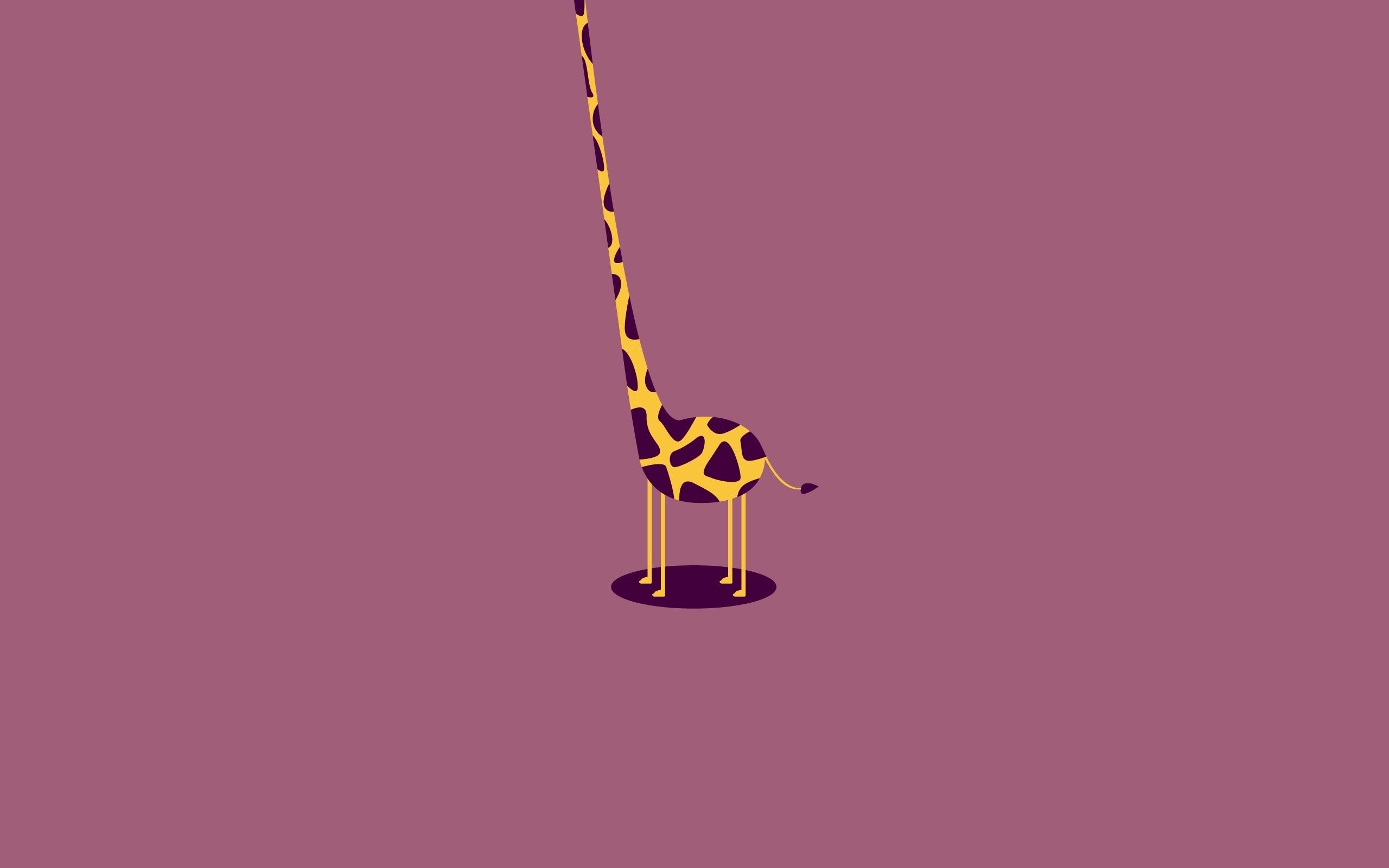 63617 Hintergrundbild herunterladen vektor, giraffe, körper, hals, torso, kopflos, headless - Bildschirmschoner und Bilder kostenlos