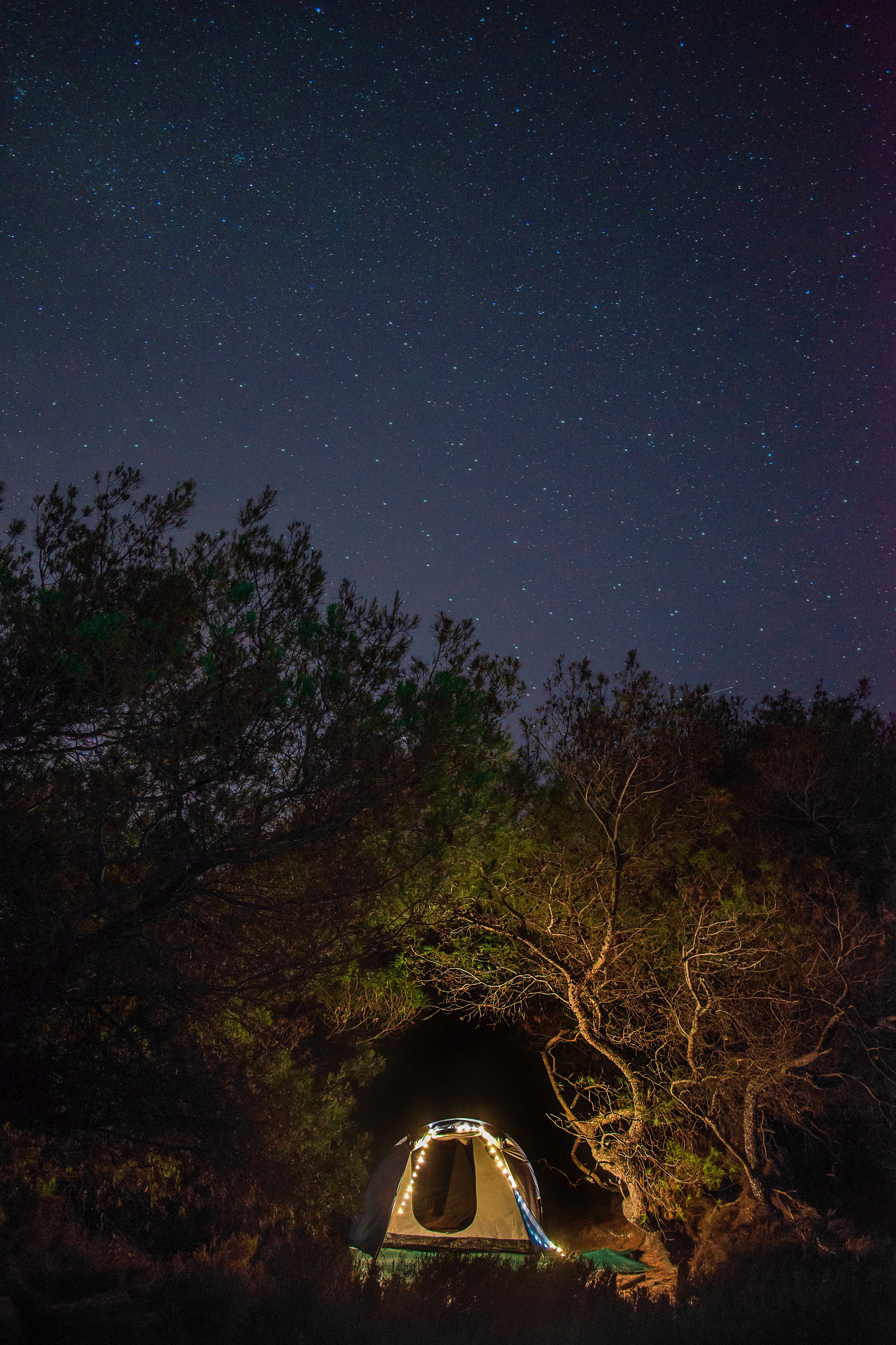 campsite, dark, trees, night, starry sky, tent, camping phone background