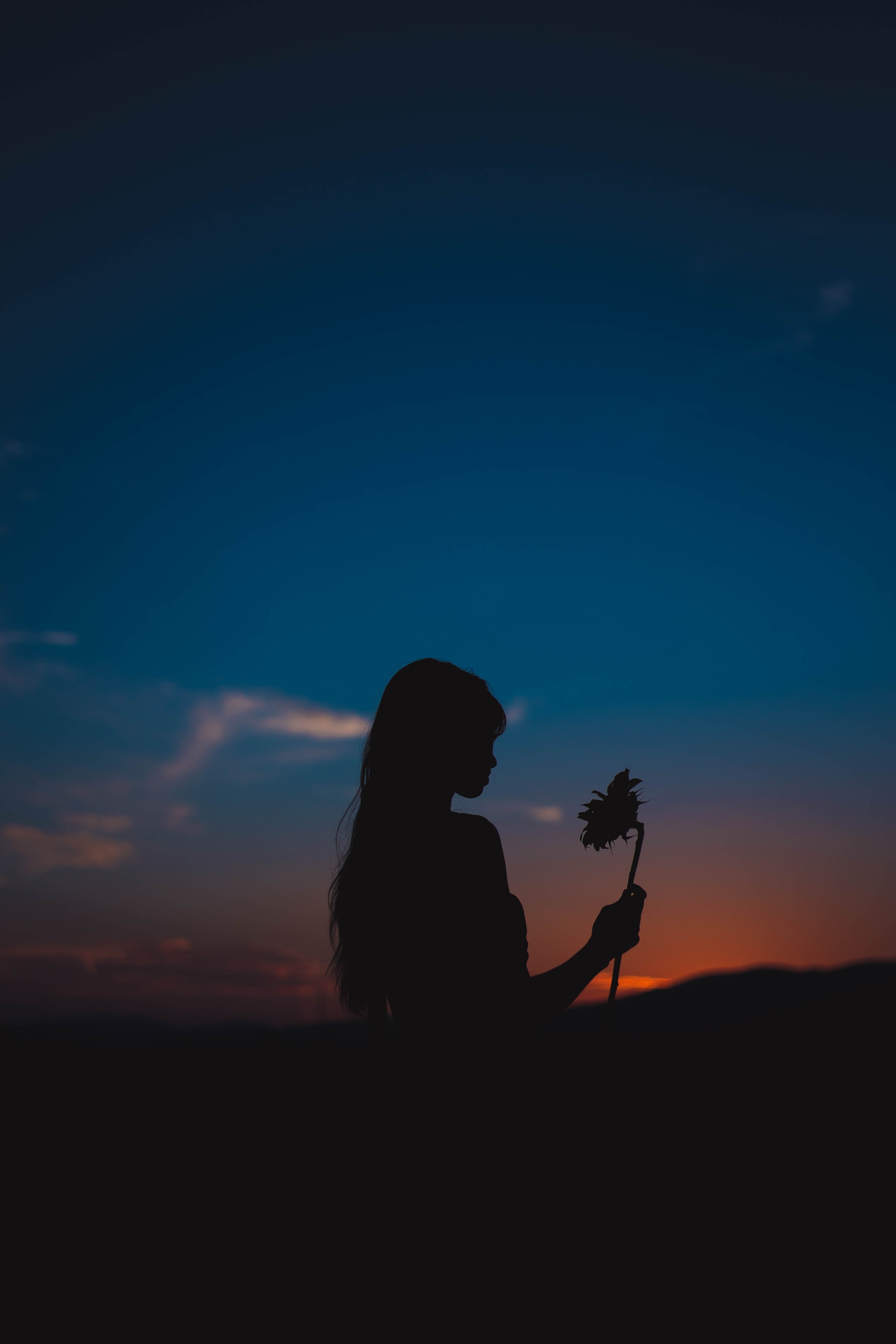 girl, sunset, flower, dark, silhouette, sunflower Phone Background