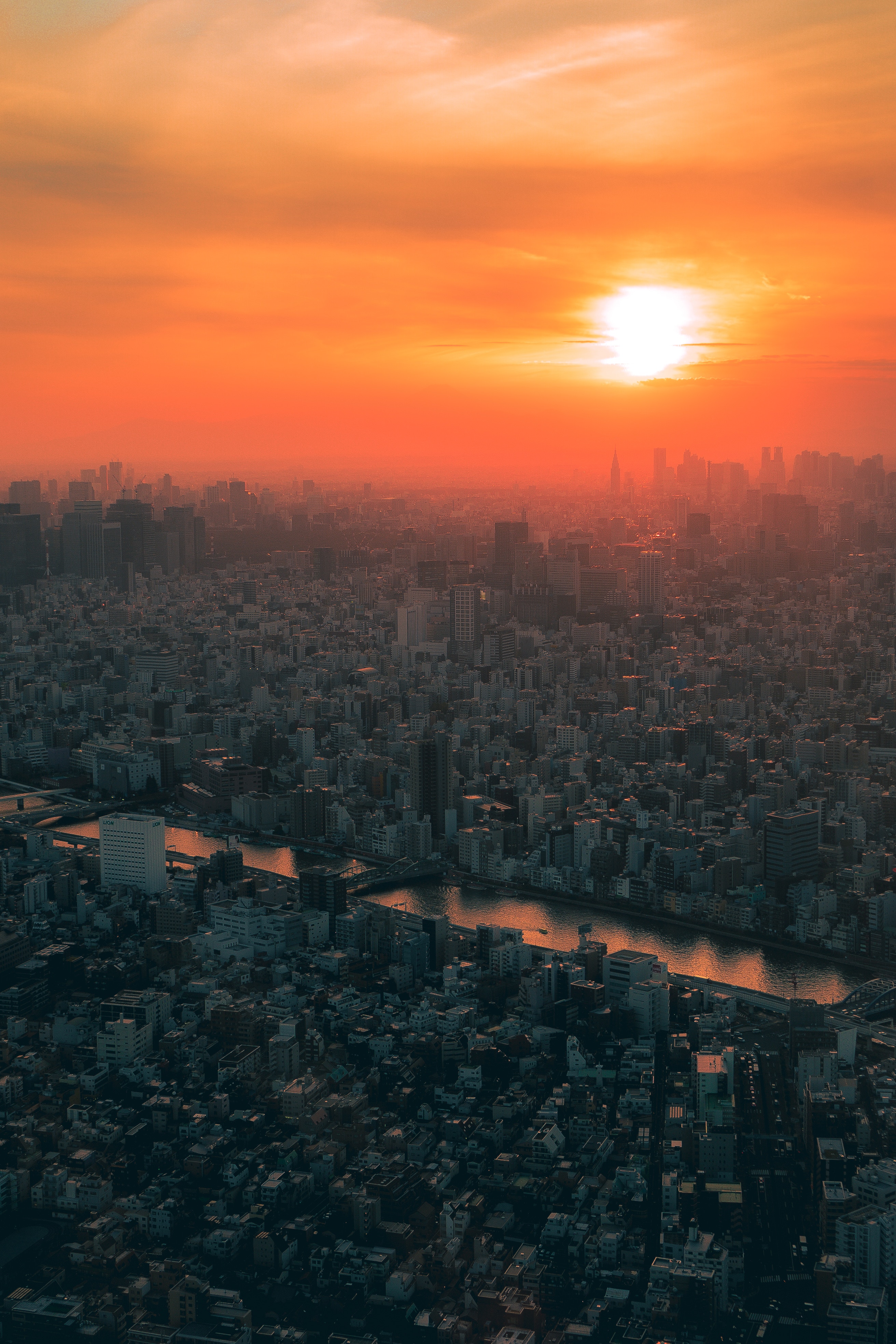 cities, sunset, city, view from above, fog, japan, tokyo 8K