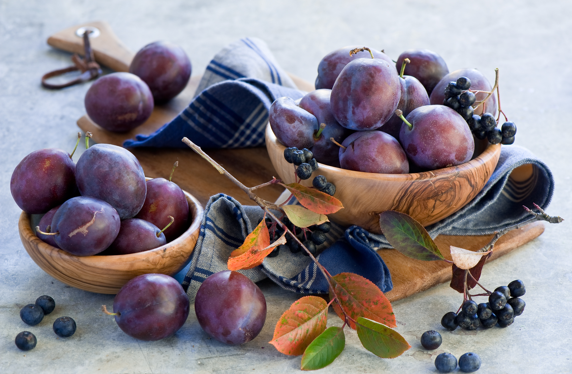 plums, aronia, fruits, rowan Cell Phone Image