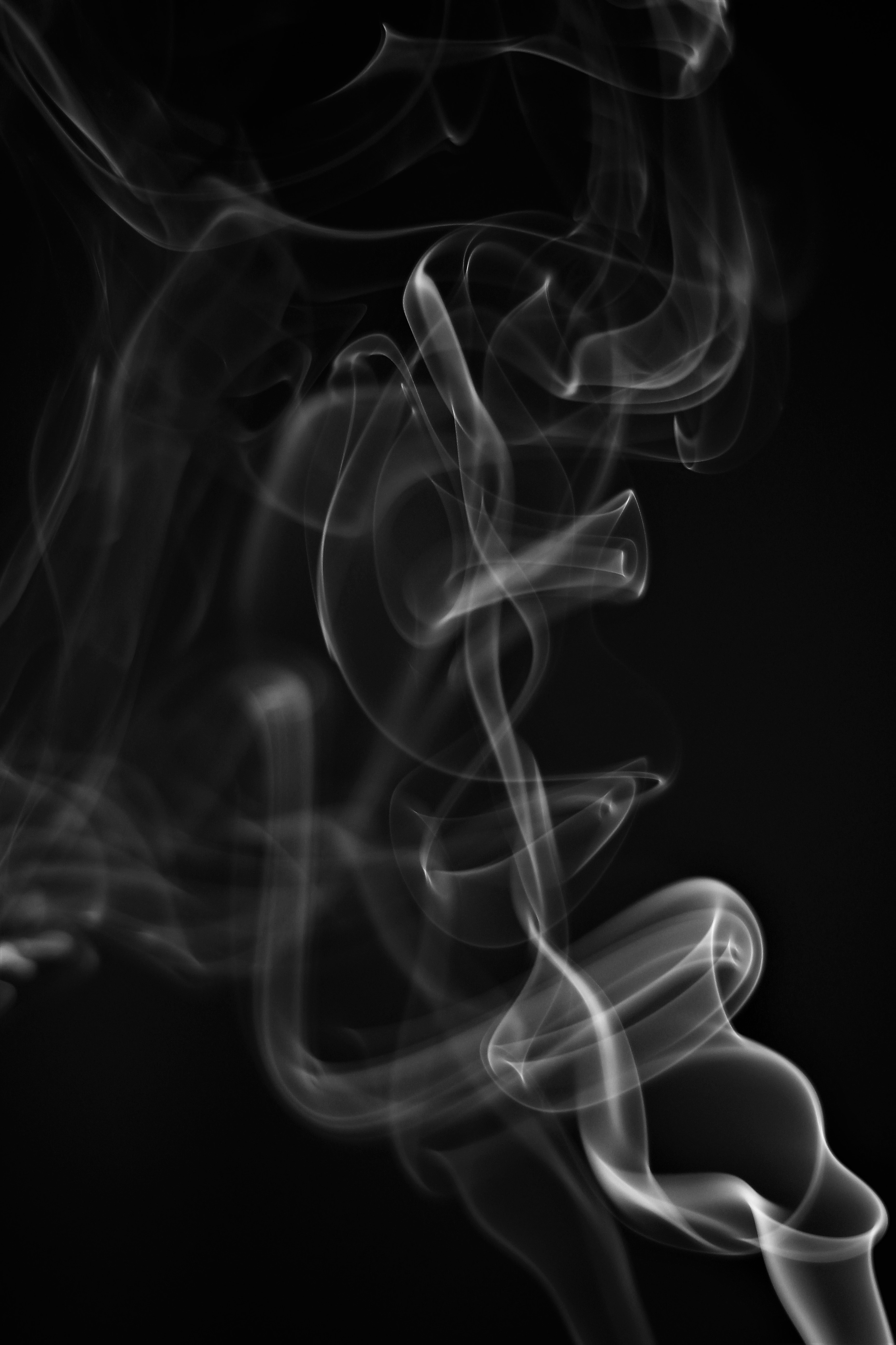smoke, black background, black, abstract, white, serpentine, wriggling