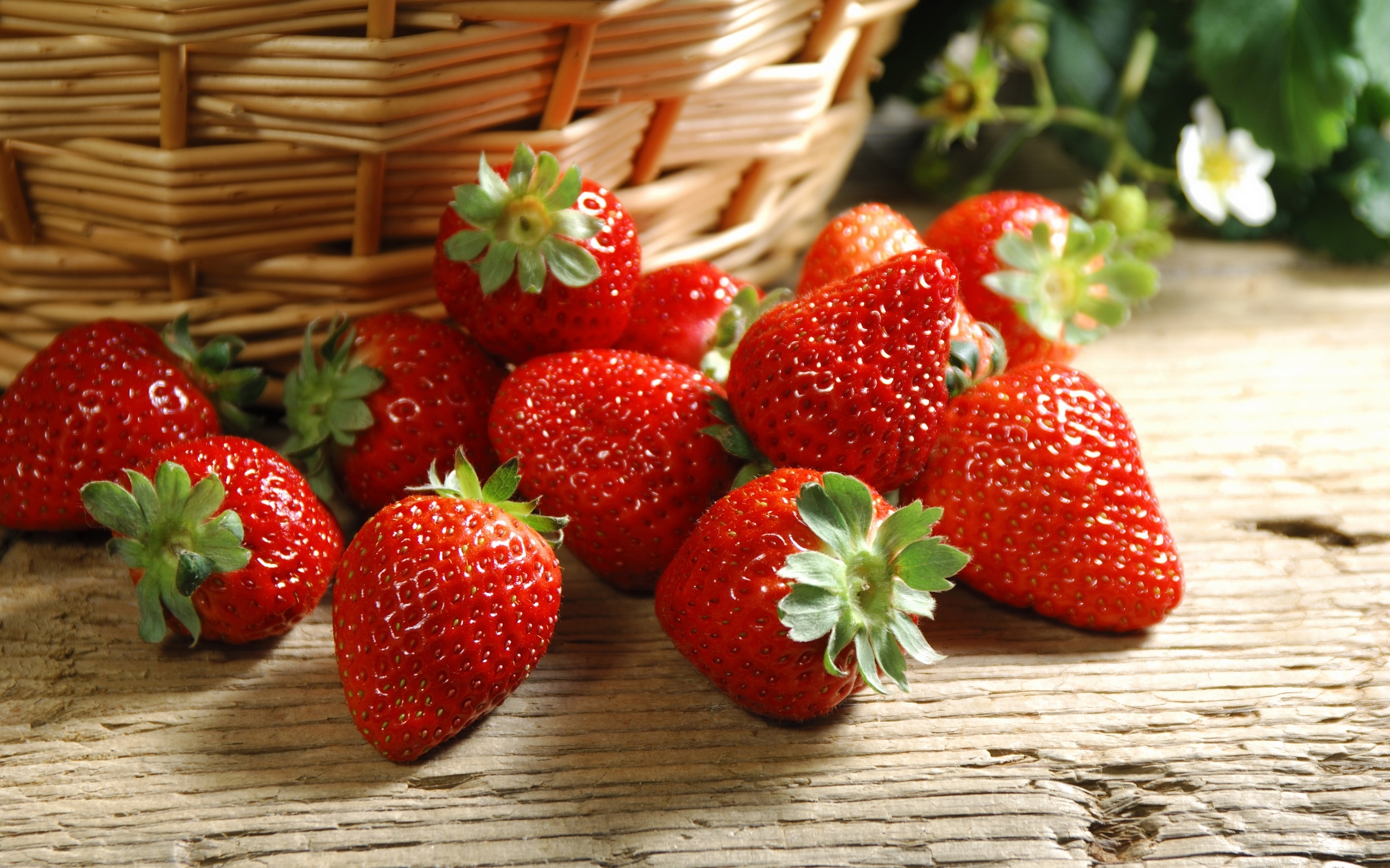 Mobile wallpaper: Food, Strawberry, Fruits, 38549 download the picture for  free.