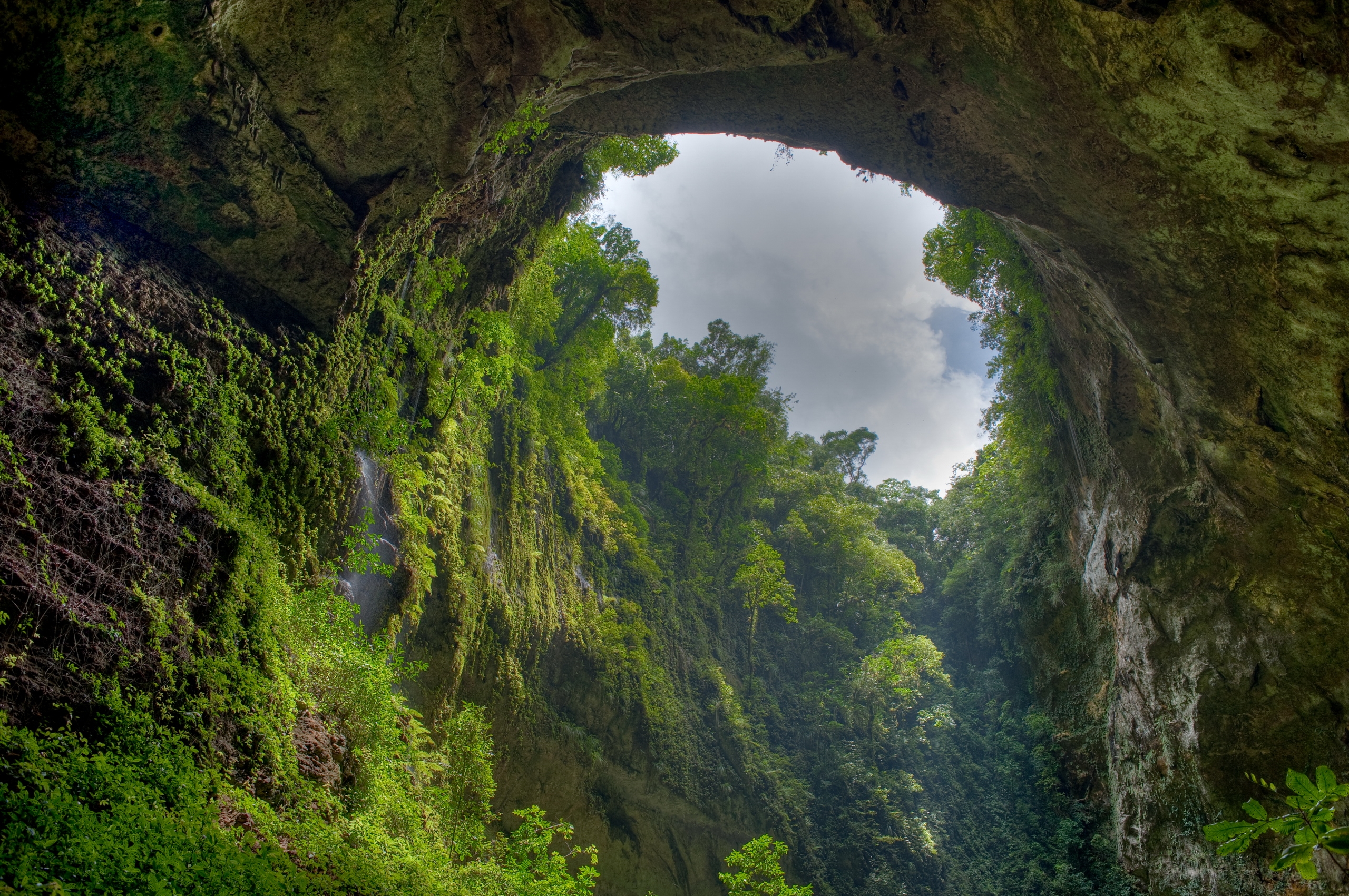 arch, gorge, green, nature, sky, clouds, rock, vegetation, from below Full HD