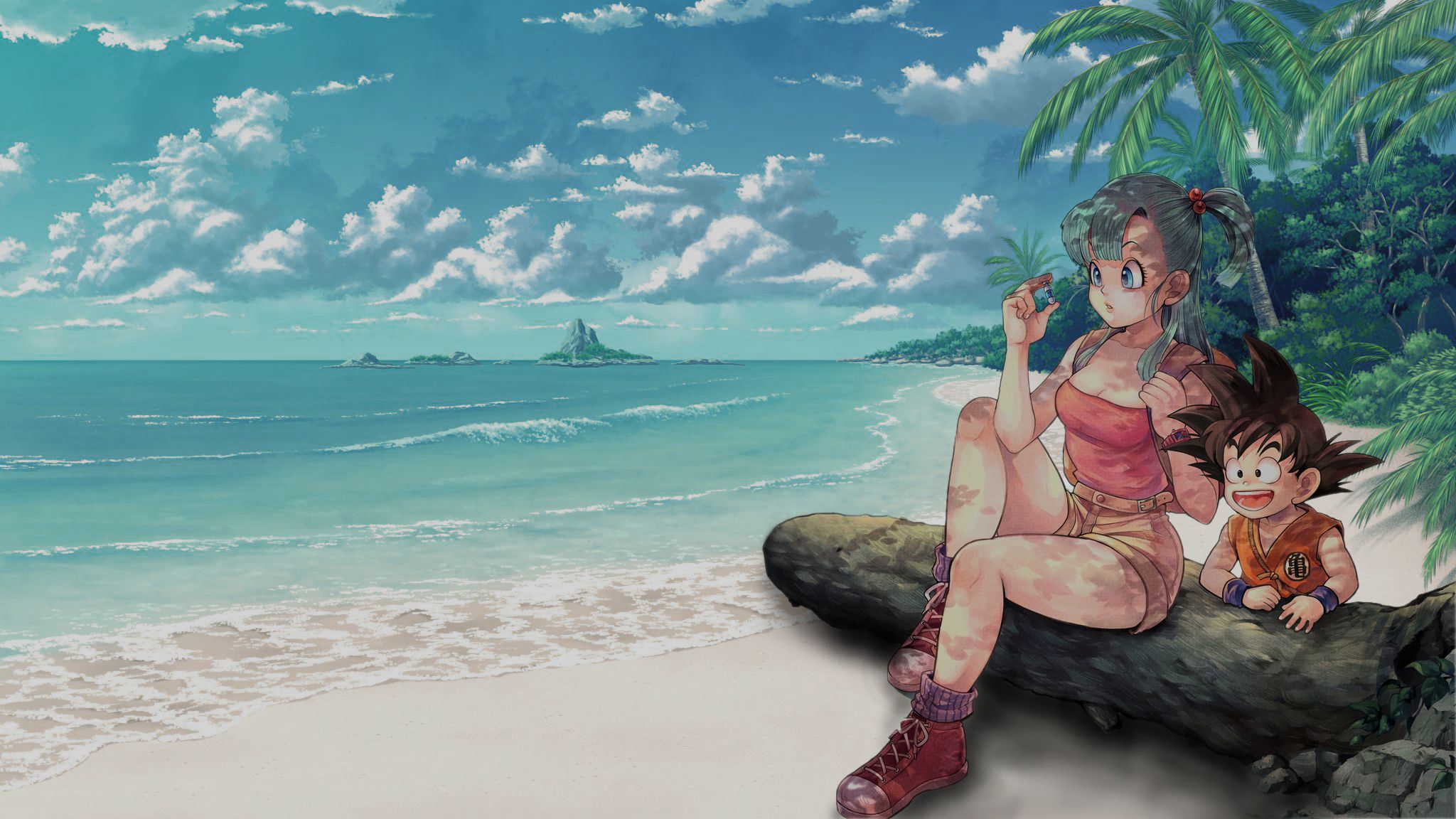 HD desktop wallpaper: Anime, Beach, Dragon Ball, Goku, Bulma (Dragon Ball)  download free picture #510864