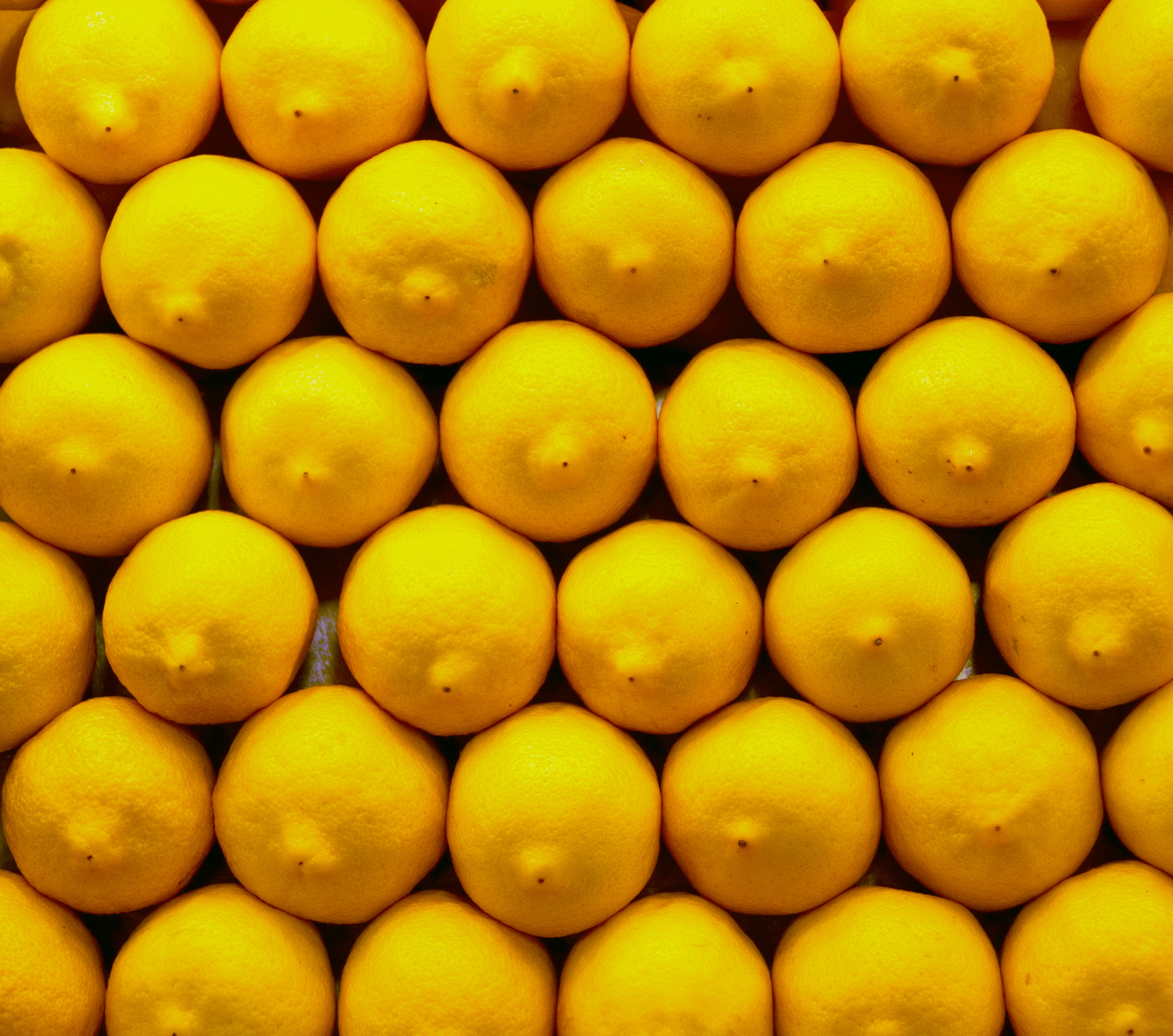 155117 Hintergrundbilder und Zitronen Bilder auf dem Desktop. Laden Sie zitrus, lebensmittel, zitrusfrüchte, gelb Bildschirmschoner kostenlos auf den PC herunter