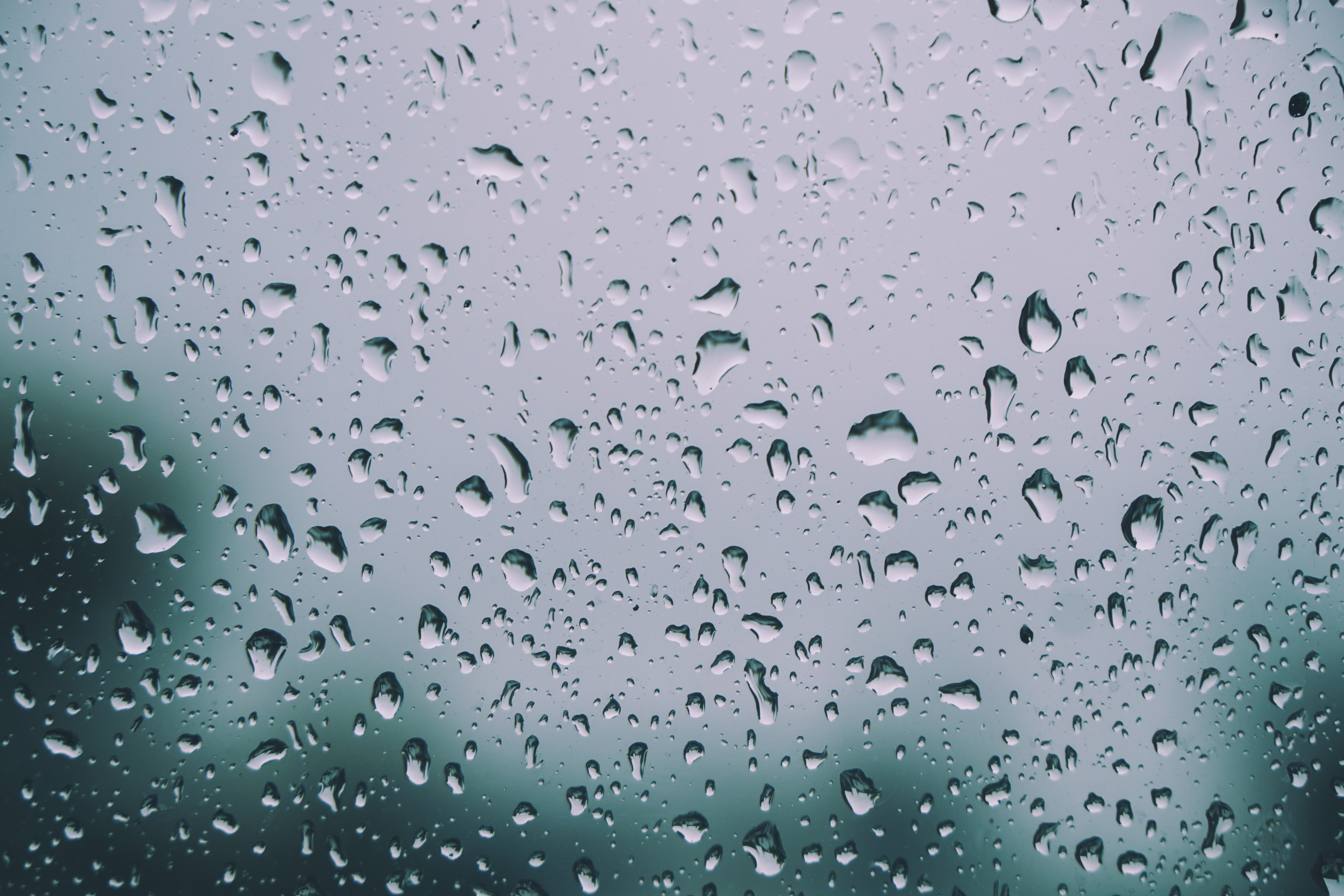 Laden Sie das Regen, Drops, Makro, Feuchtigkeit, Glas, Fenster-Bild kostenlos auf Ihren PC-Desktop herunter