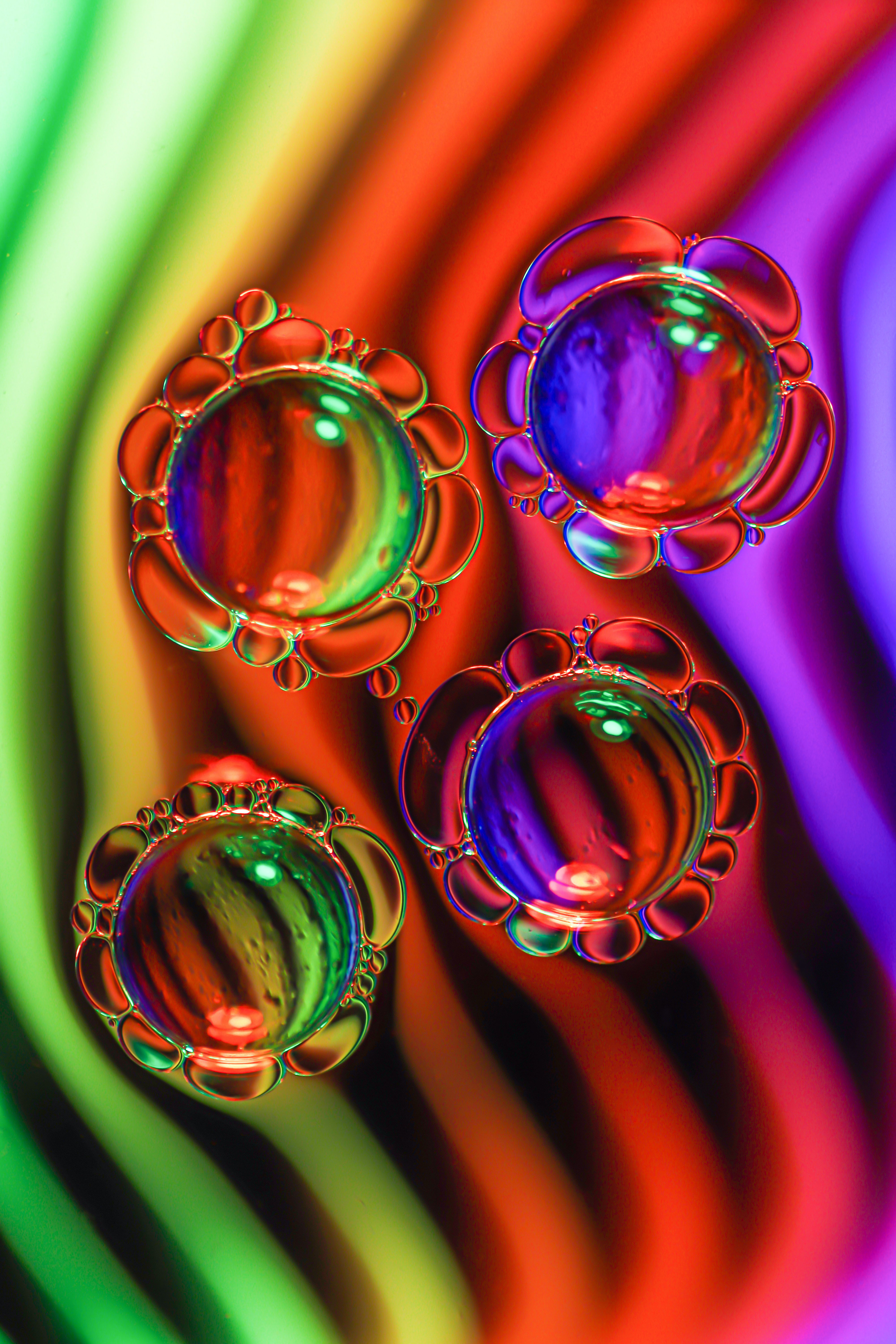 bubbles, macro, multicolored, motley, liquid, butter, oil Free Stock Photo