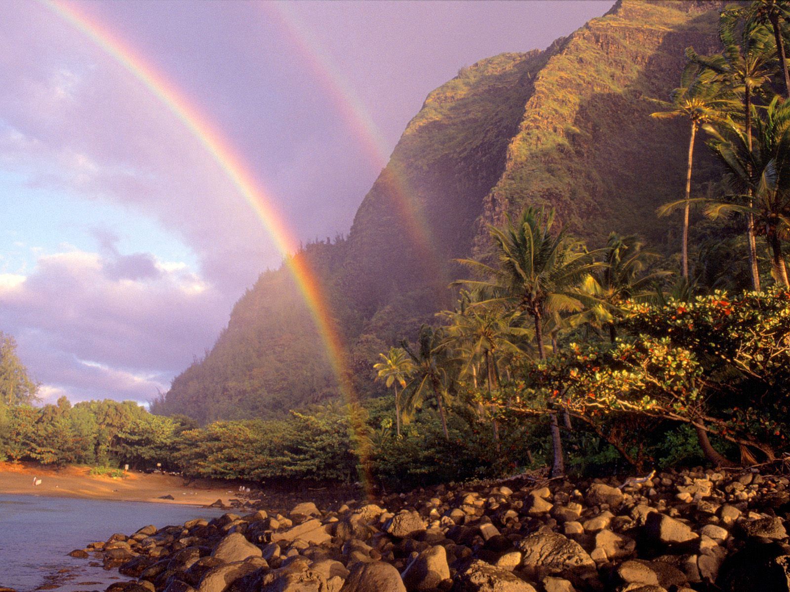 68209 Hintergrundbild herunterladen natur, stones, sky, palms, regenbogen, ufer, bank, wolken, hawaii - Bildschirmschoner und Bilder kostenlos