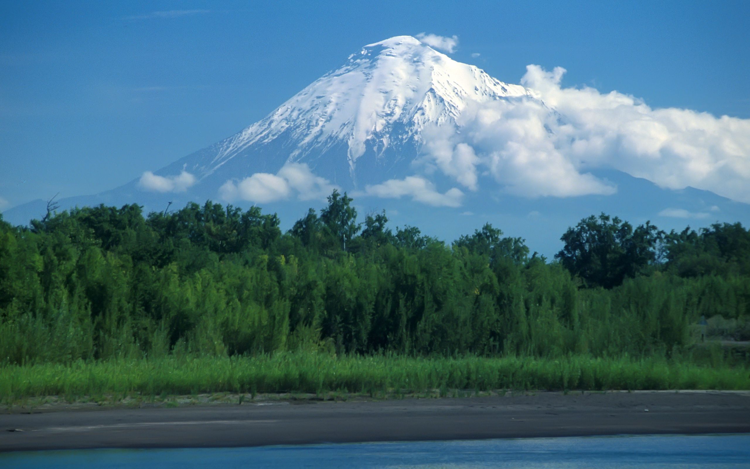 77336 Hintergrundbild herunterladen natur, wald, vulkan, kamtschatka - Bildschirmschoner und Bilder kostenlos