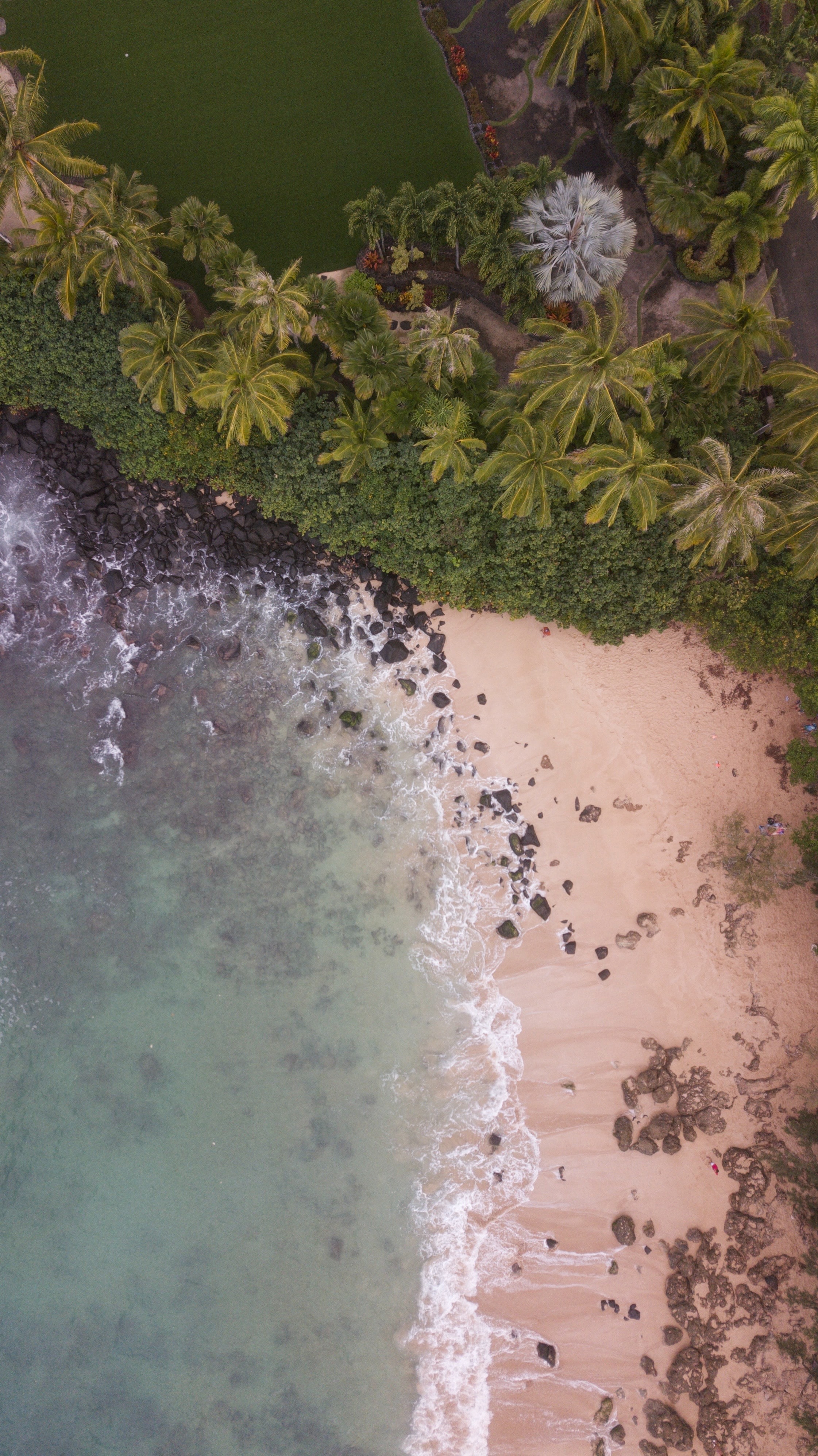 110605 скачать обои пляж, природа, море, песок, пальмы, вид сверху - заставки и картинки бесплатно