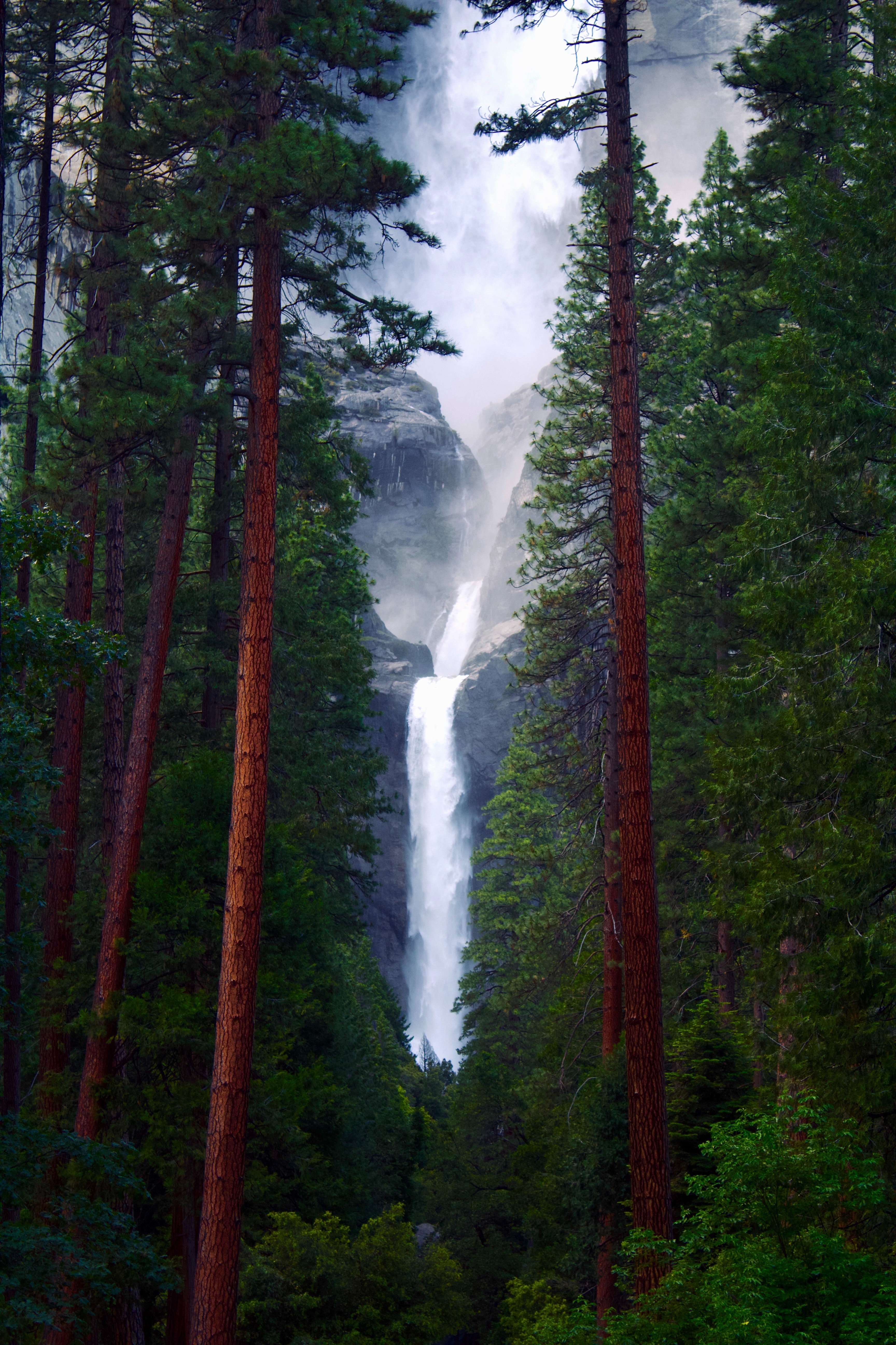 forest, rocks, nature, trees, waterfall HD wallpaper