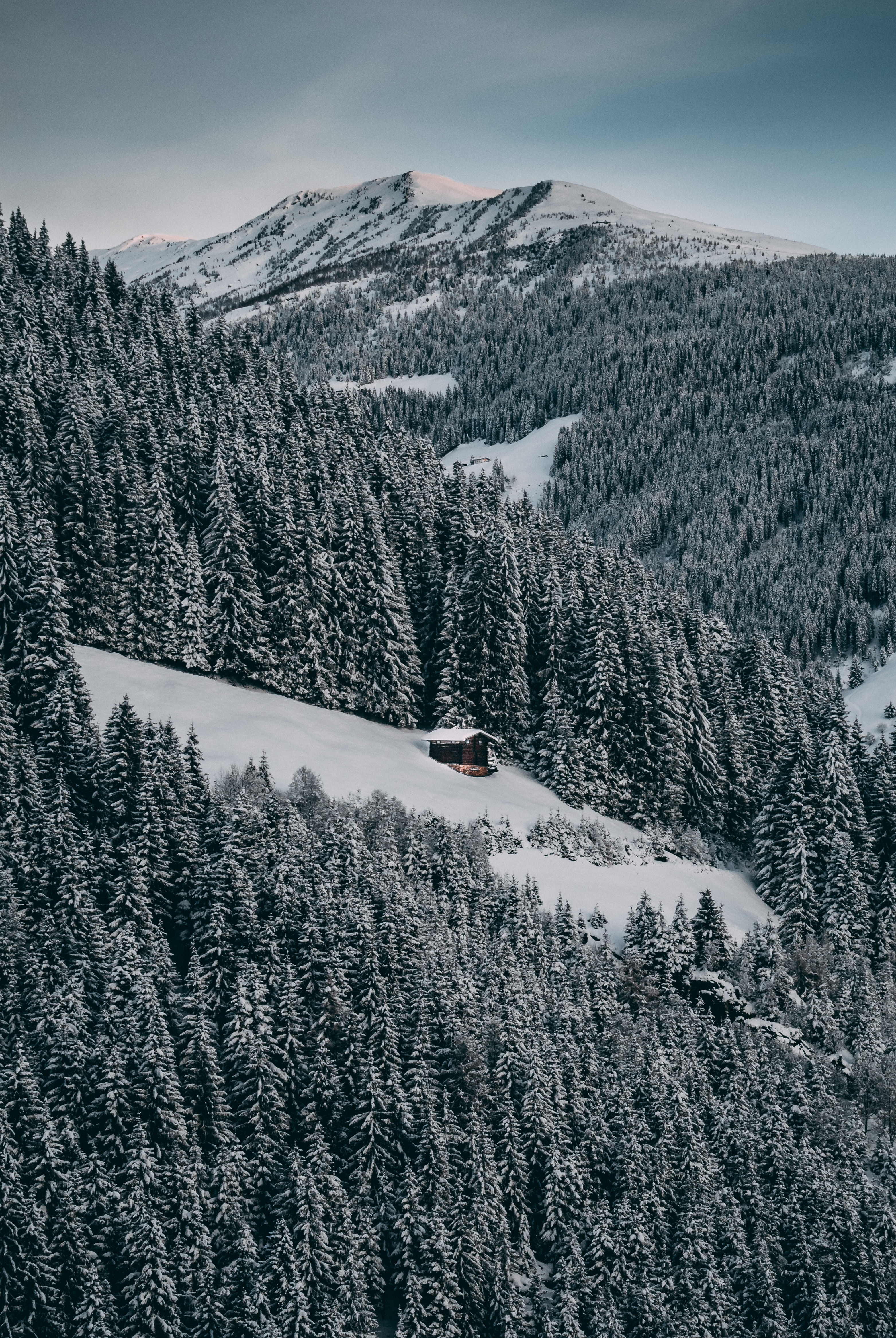 nature, winter, trees, sky, snow, forest, small house, lodge, elevation phone background