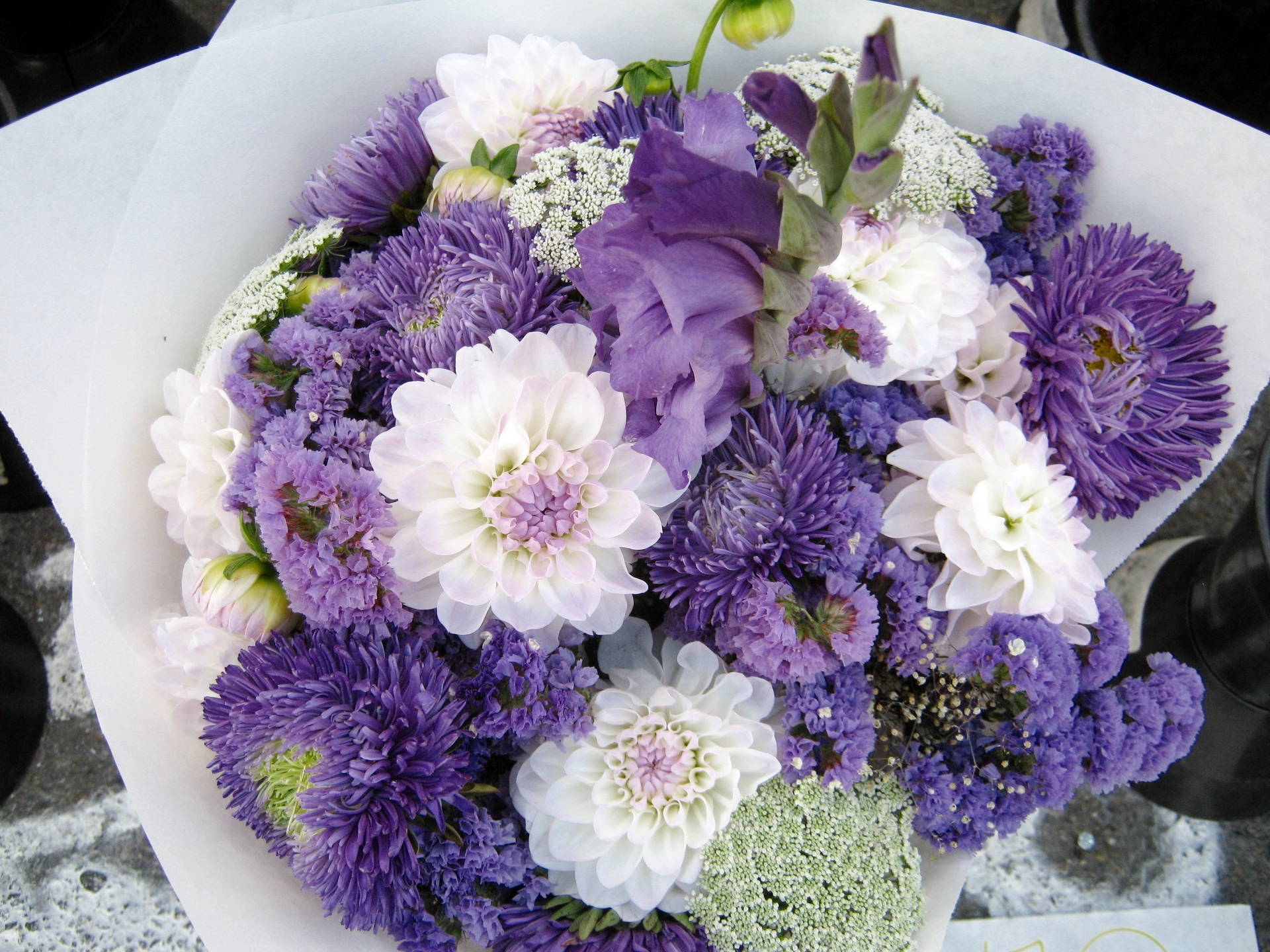 Laden Sie das Blumen, Chrysantheme, Anmeldung, Typografie, Strauß, Bouquet, Dahlien-Bild kostenlos auf Ihren PC-Desktop herunter