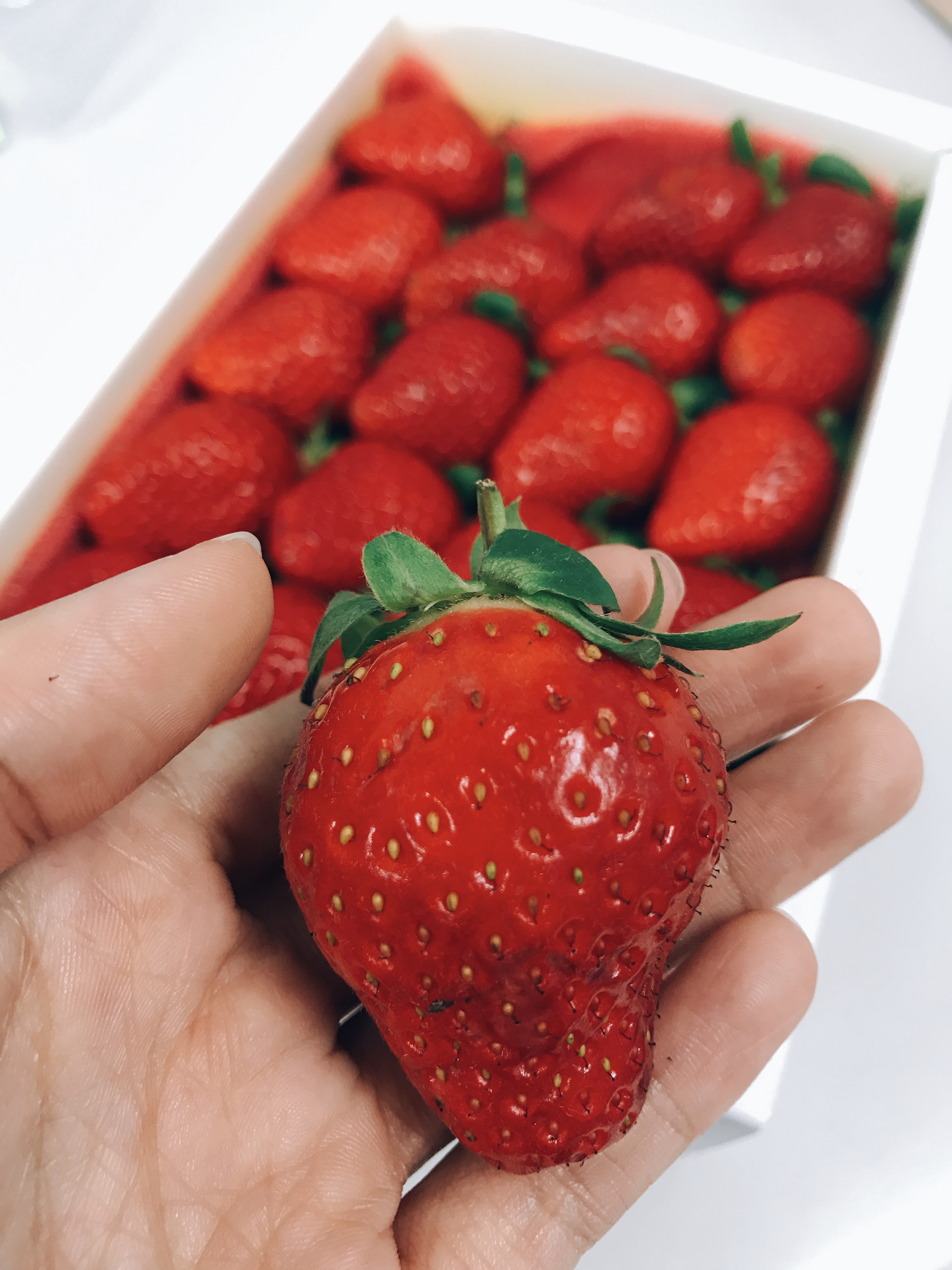 strawberry, food, red, hand, berry, ripe