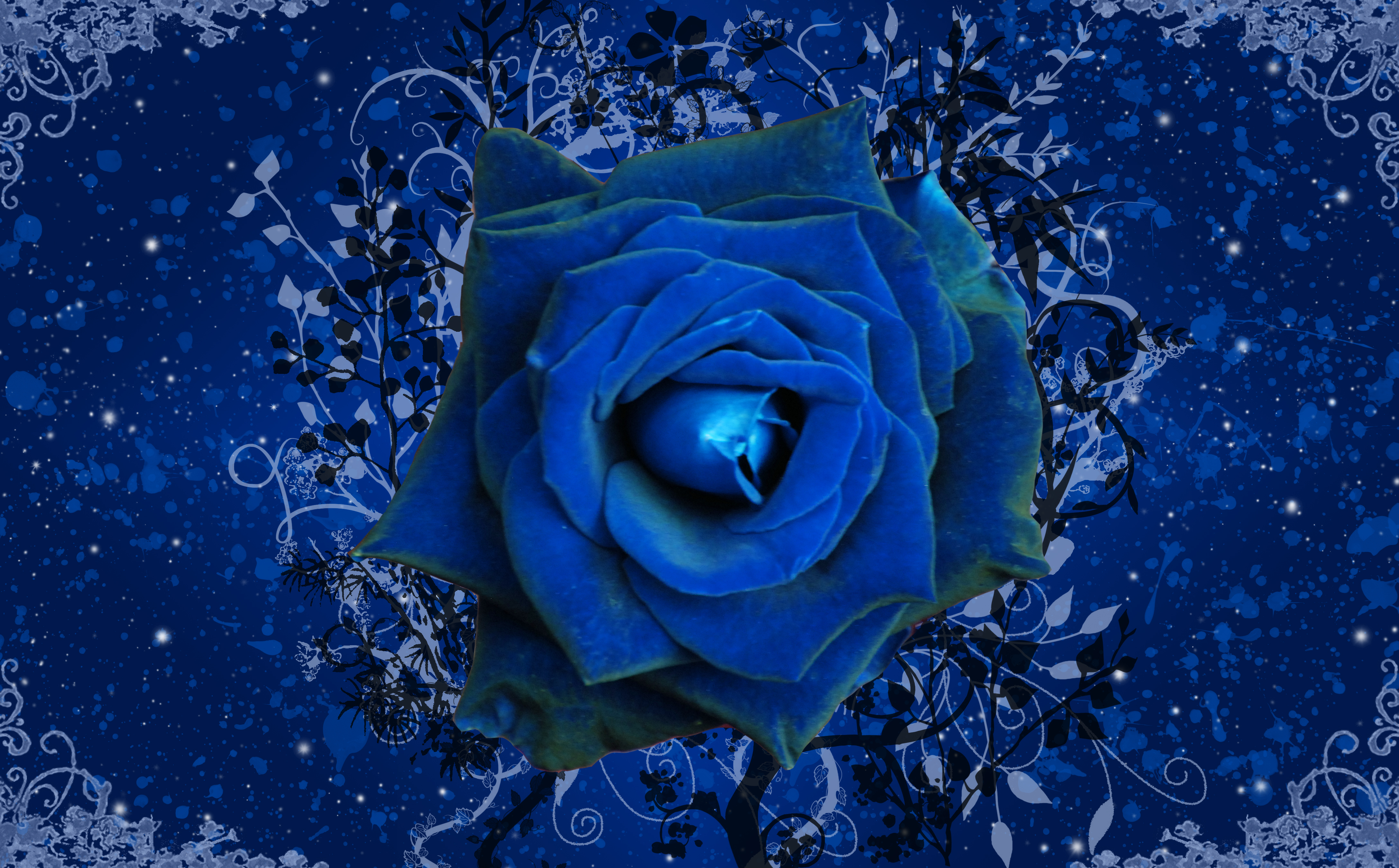 rose, blue flower, blue rose, flower, artistic