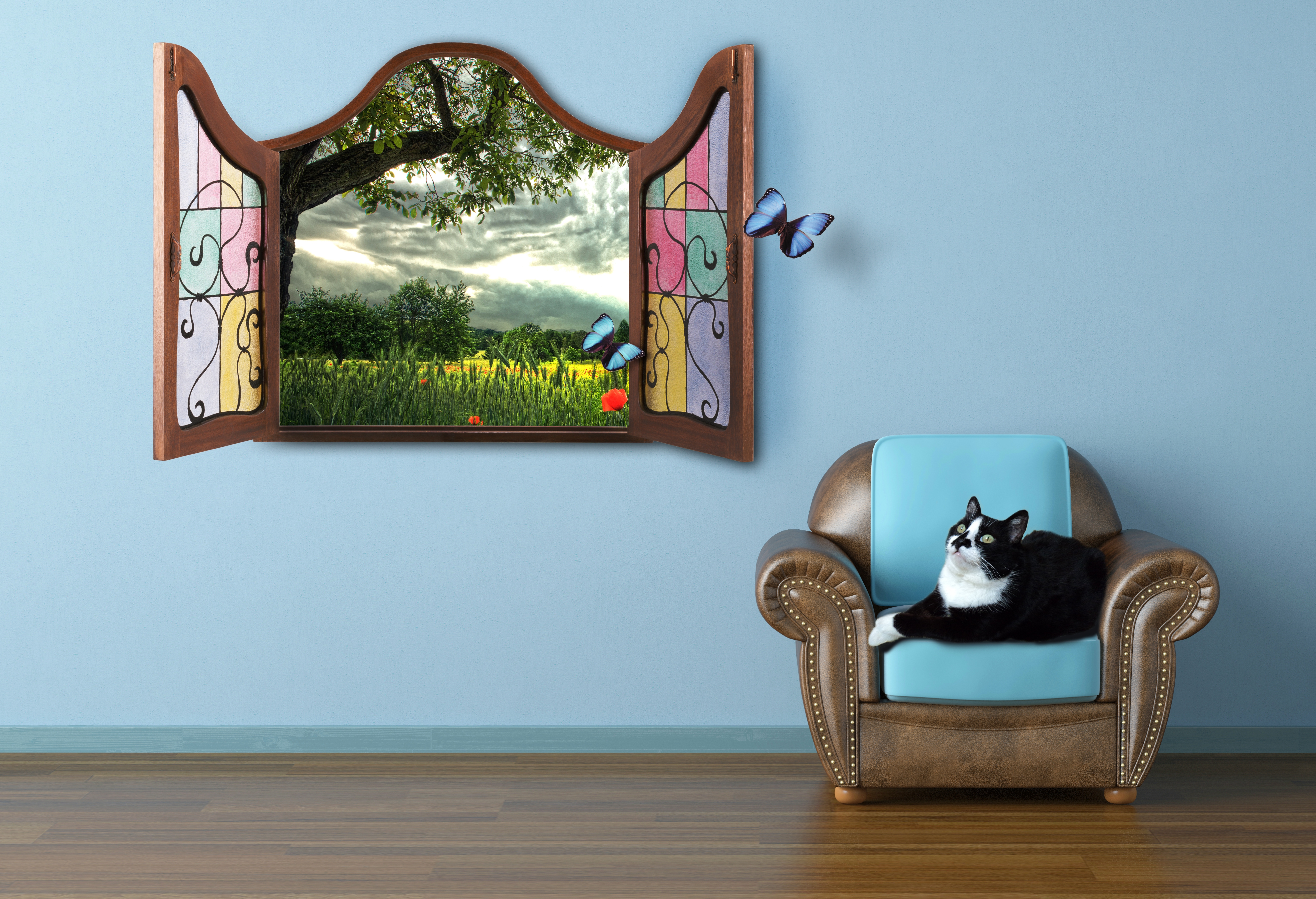 fairy tale, summer, window, to watch download for free