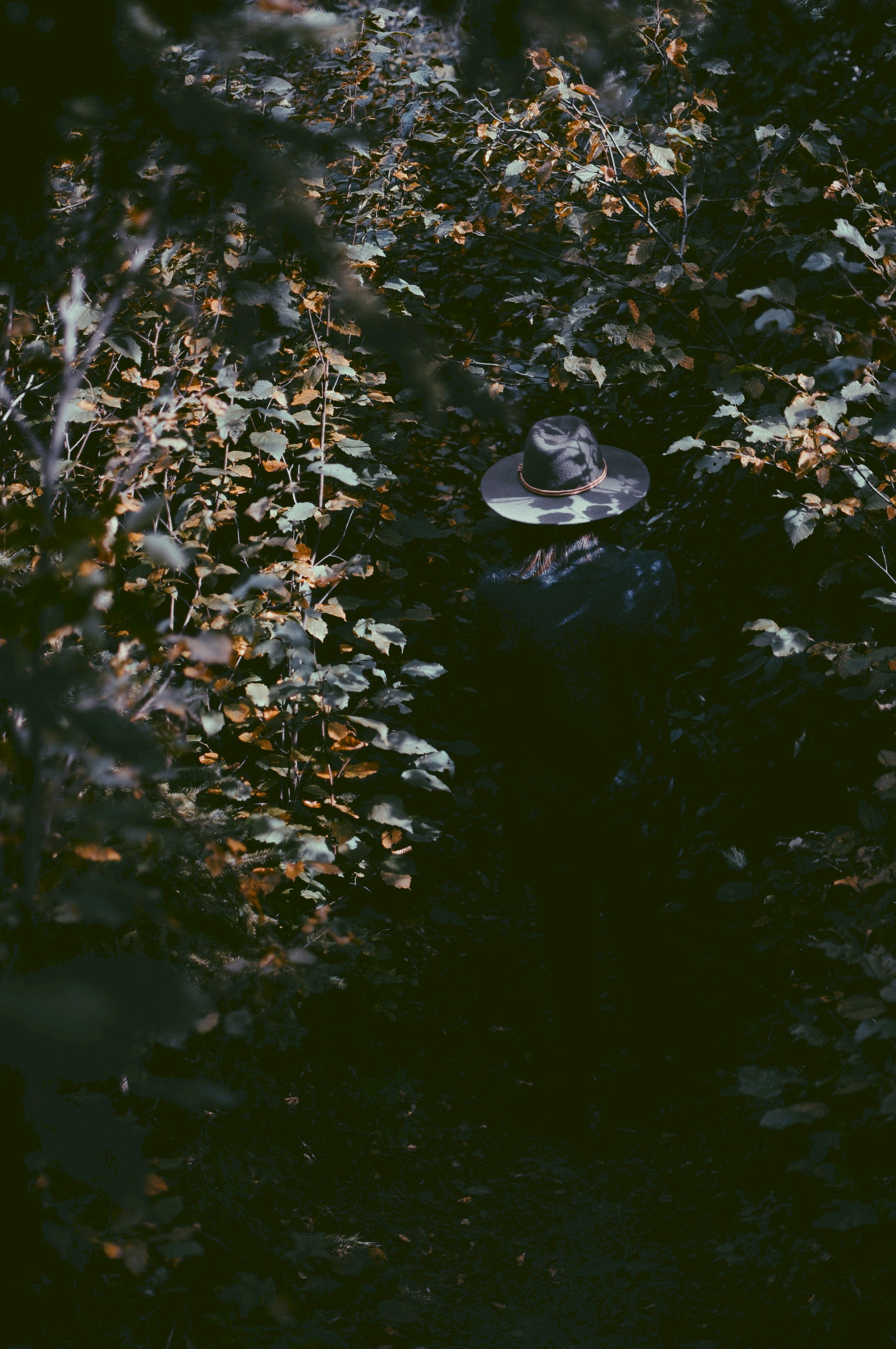 shadows, leaves, miscellanea, miscellaneous, human, person, hat Full HD