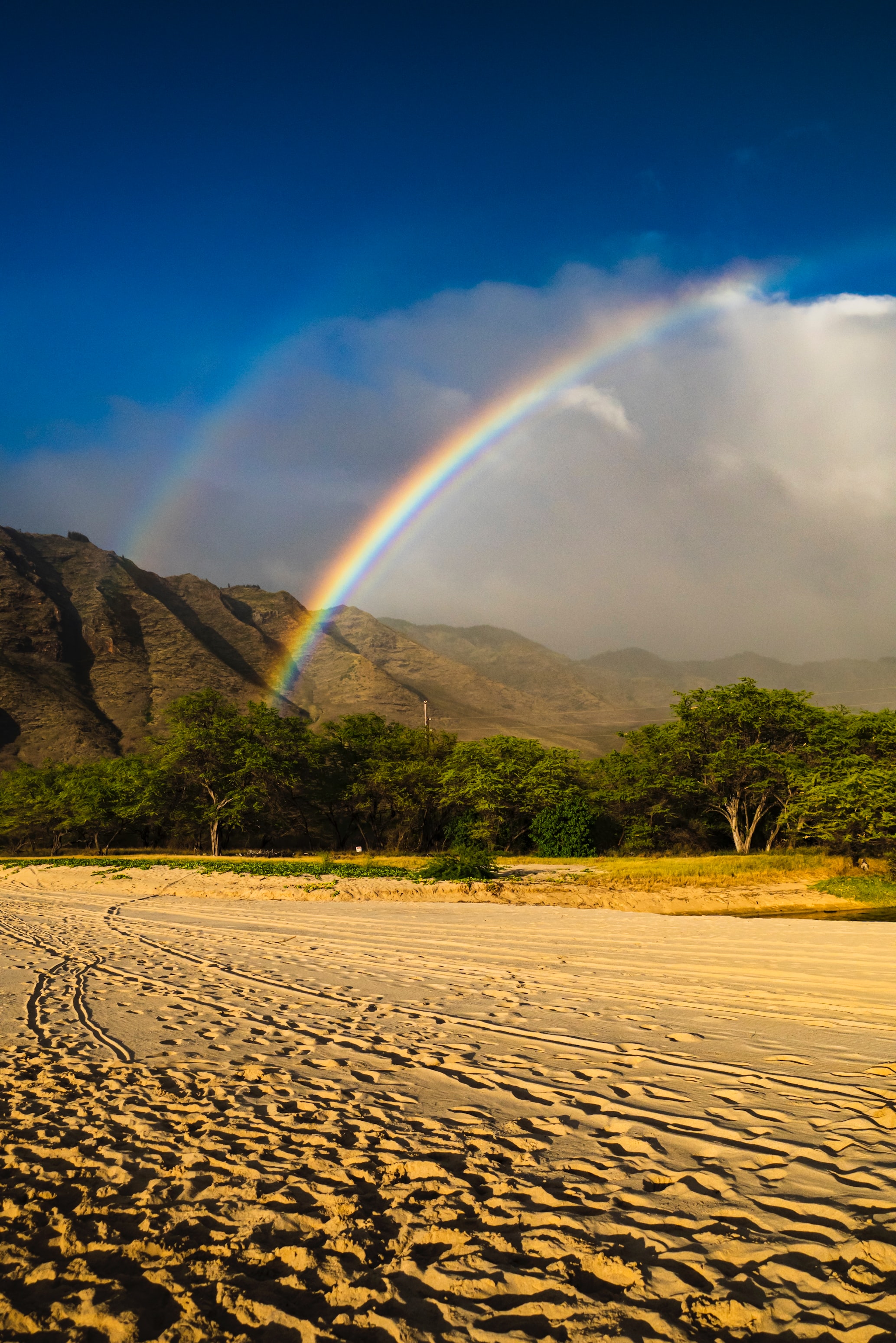 rainbow, nature, trees, beach, sand, mountain 32K
