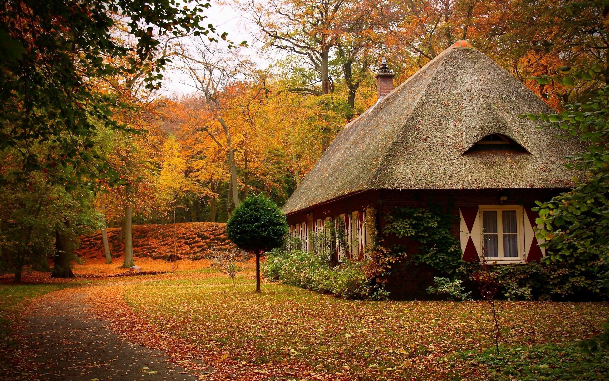 small house, landscape, nature, autumn, forest, lodge, cabins