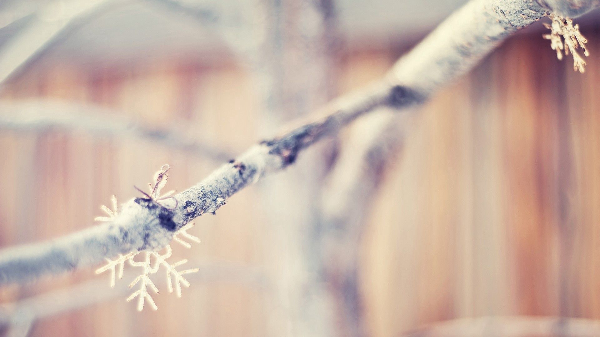 138193 Screensavers and Wallpapers Snowflakes for phone. Download winter, snowflakes, macro, branch pictures for free