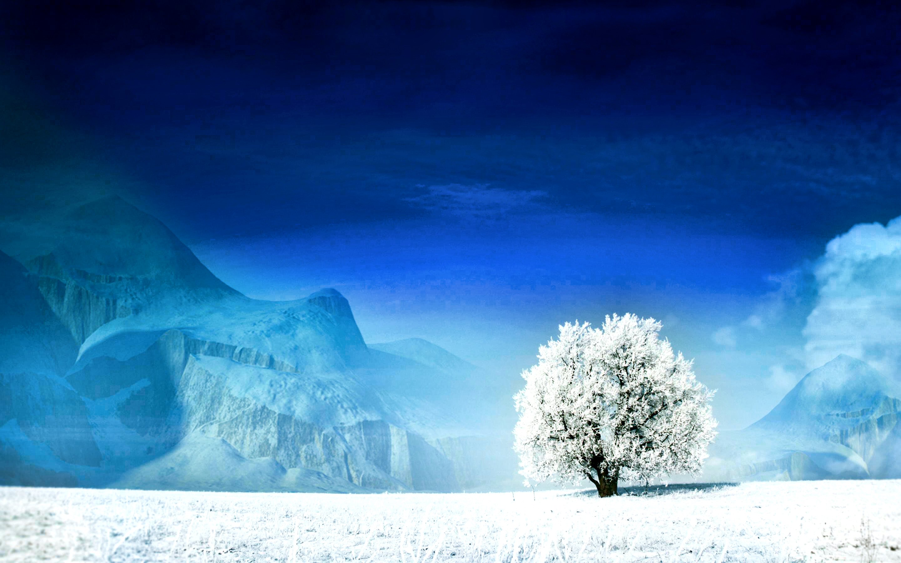 1463503 免費下載壁紙 自然, 树, 蓝色的, 雪, 白色的, 冬天 屏保和圖片
