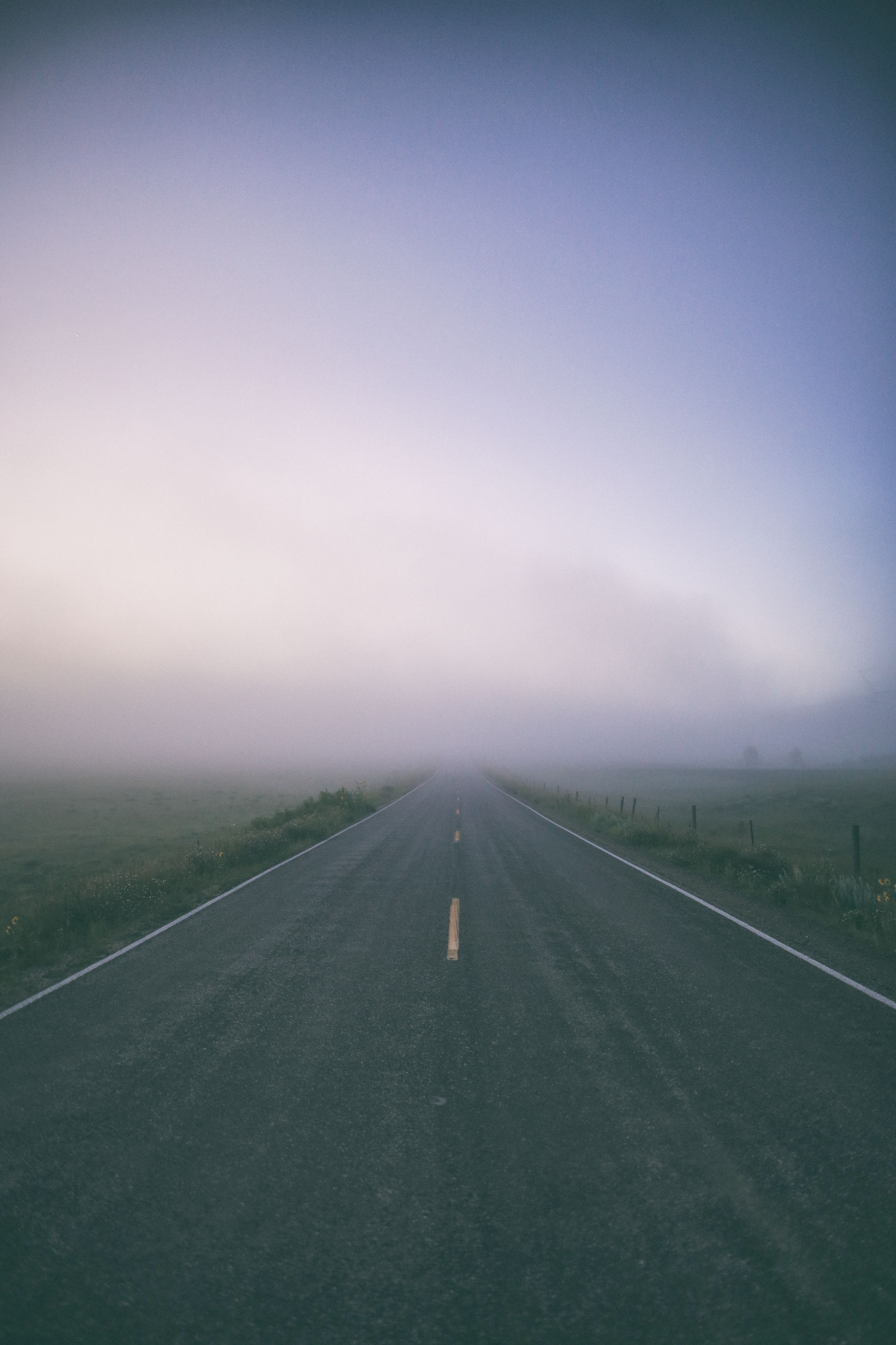 nature, road, markup, fog, field