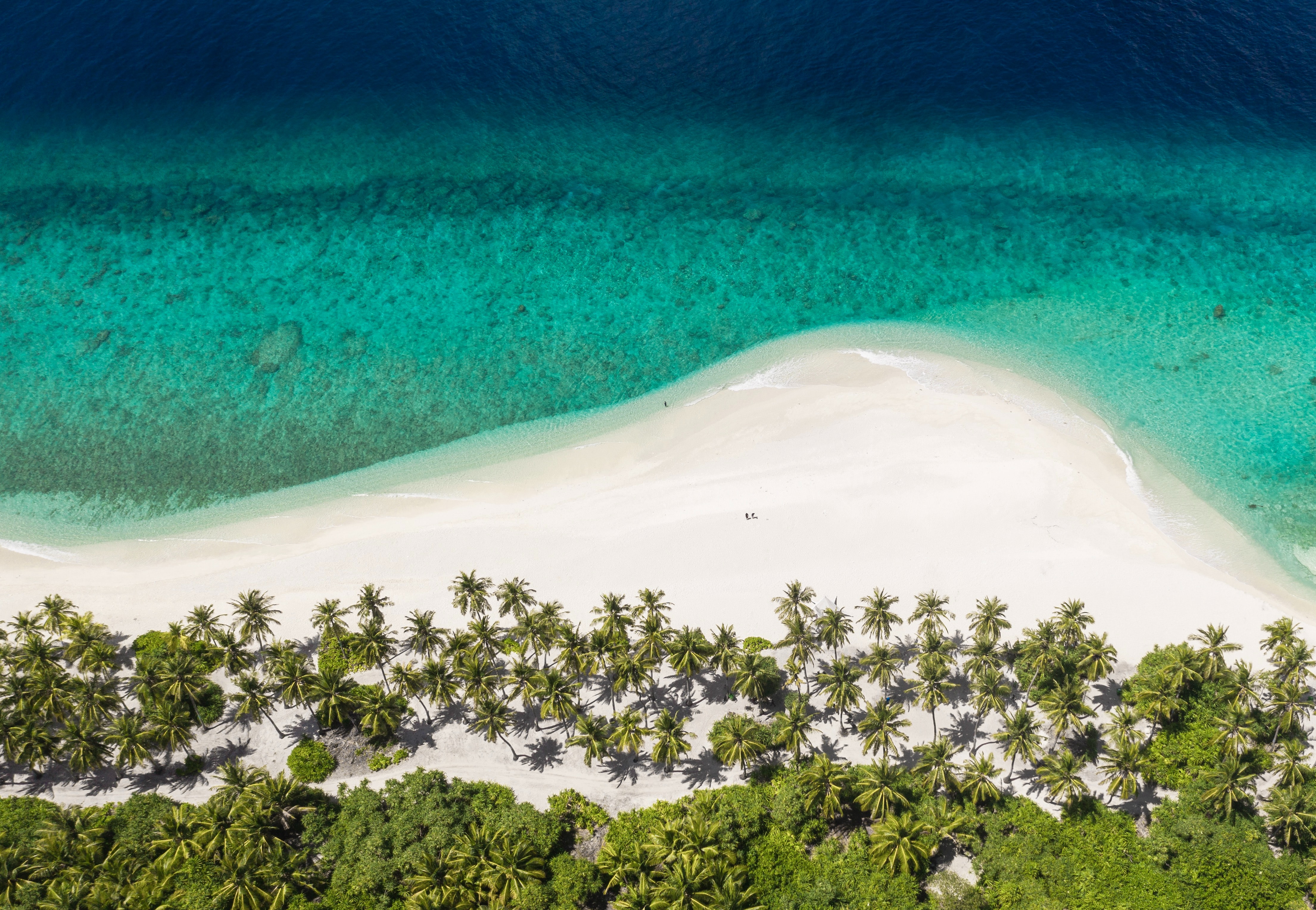 100805 скачать обои остров, пляж, пальмы, природа, вид сверху, океан - заставки и картинки бесплатно