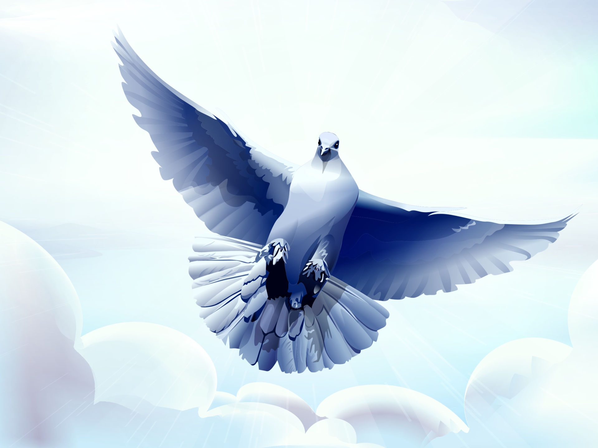 4K Phone Wallpaper bird, dove, flight