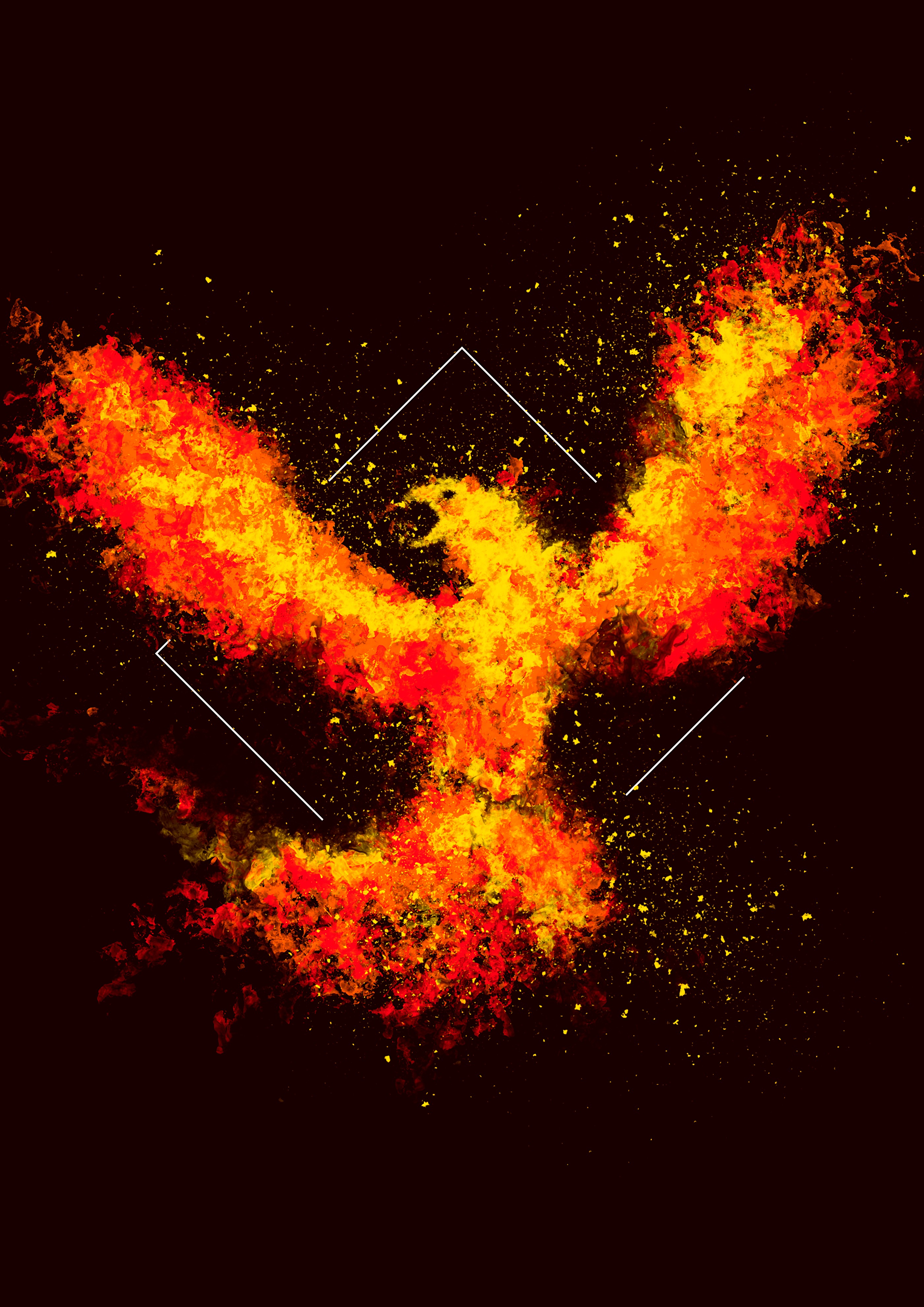 UHD wallpaper bird, fire, square, art