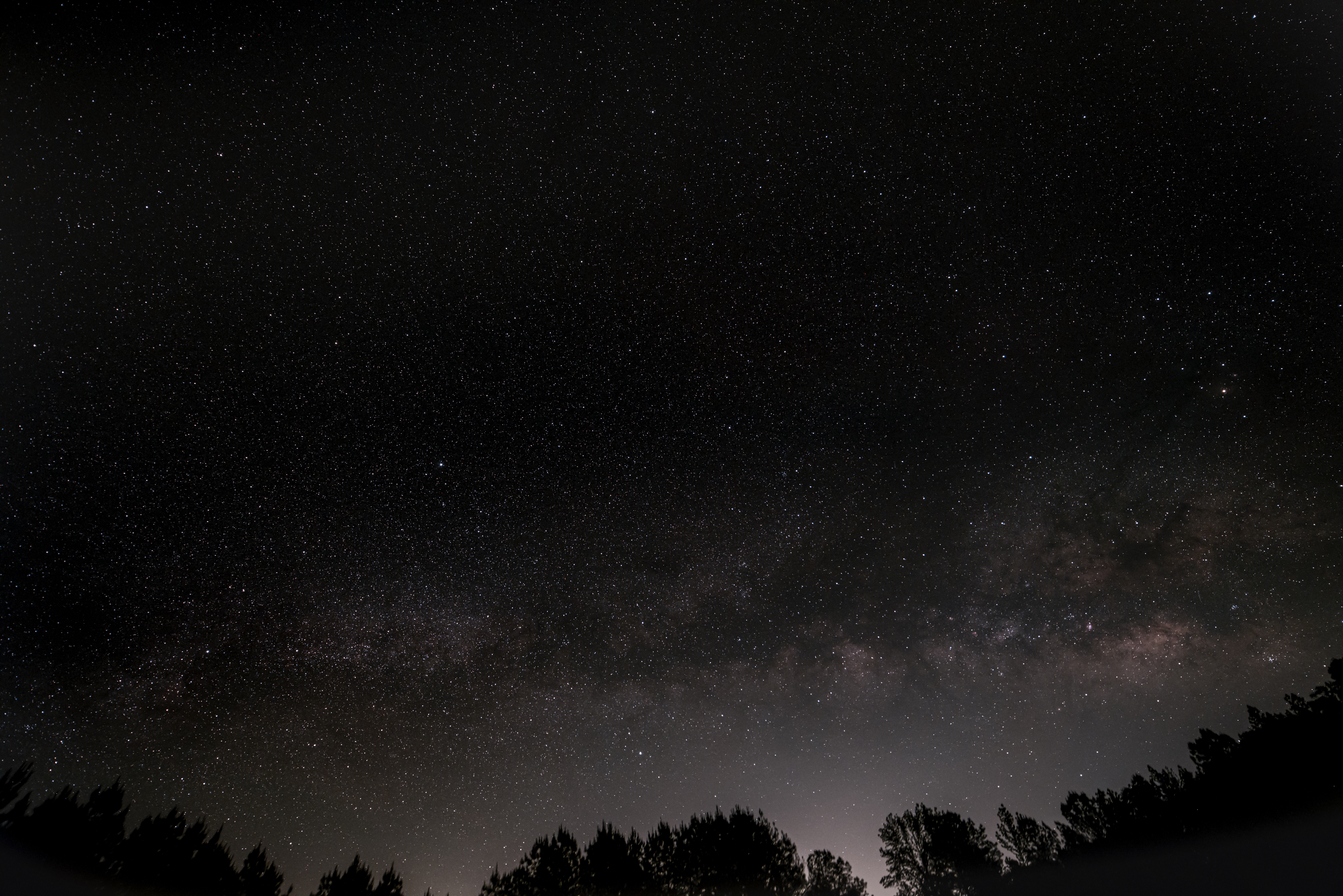 100315 скачать обои звезды, деревья, космос, ночь, звездное небо, туманность - заставки и картинки бесплатно