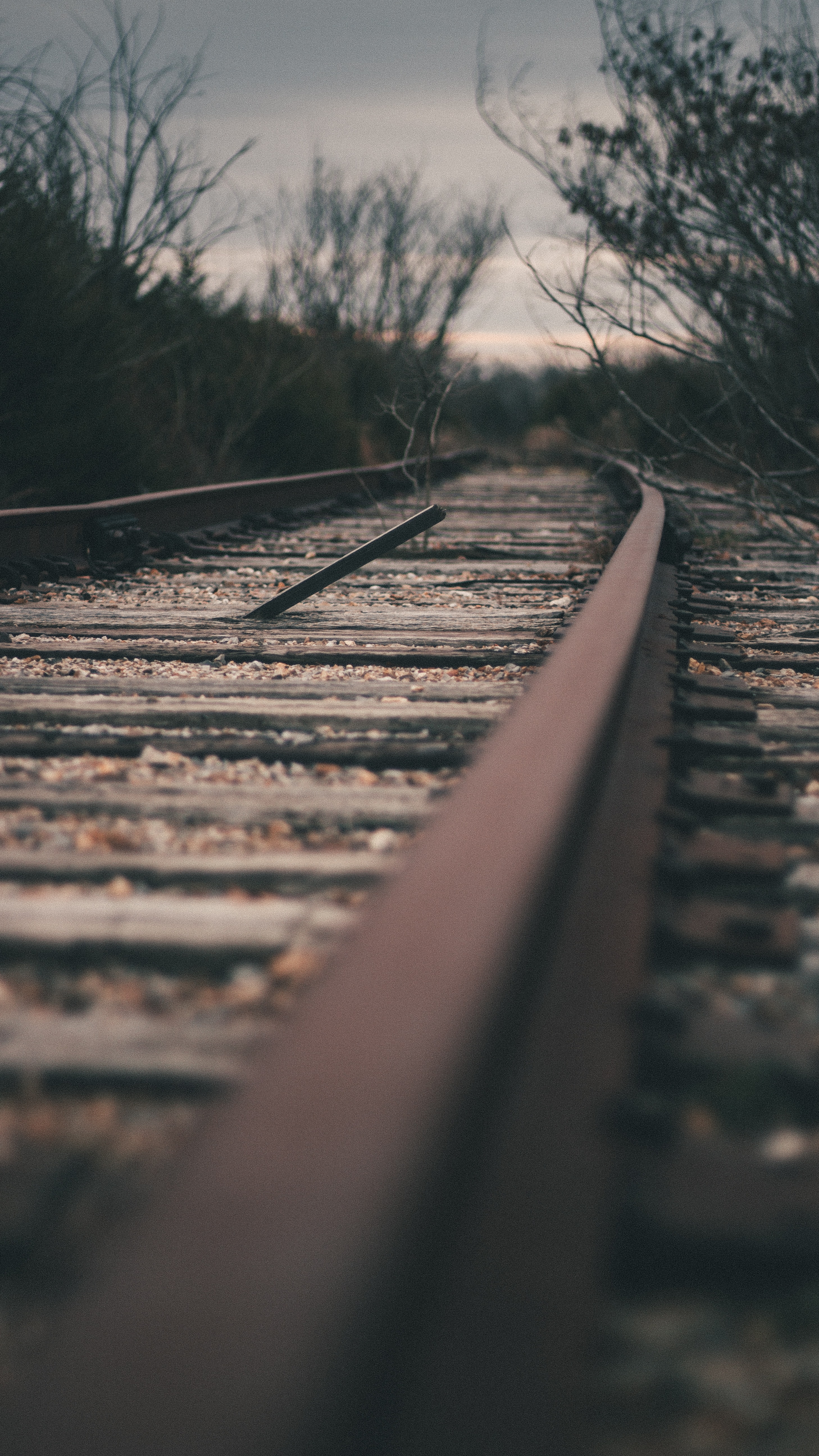miscellaneous, miscellanea, dahl, distance, rails, iron is expensive, railroad expensive Phone Background