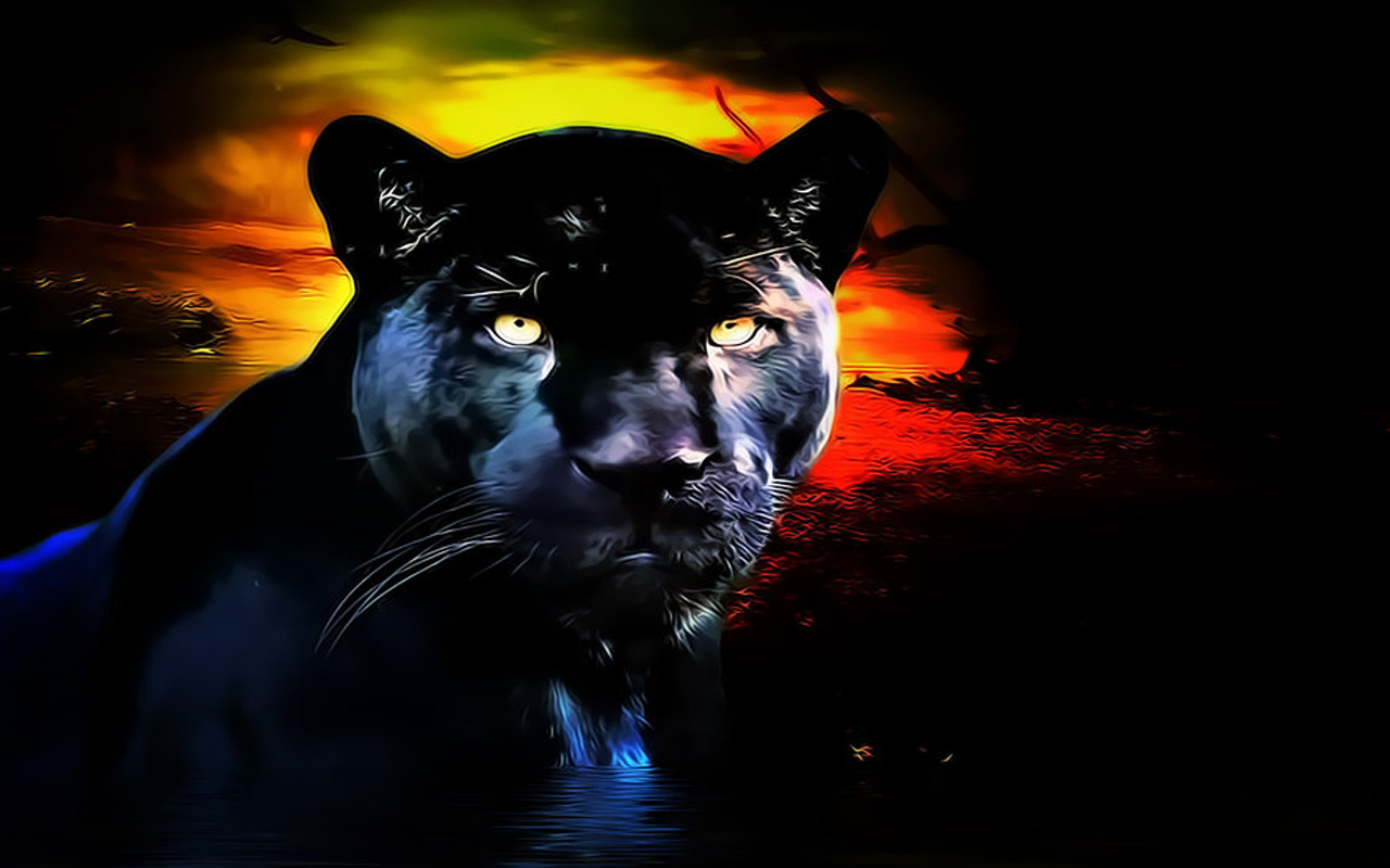 panther, animal, black panther