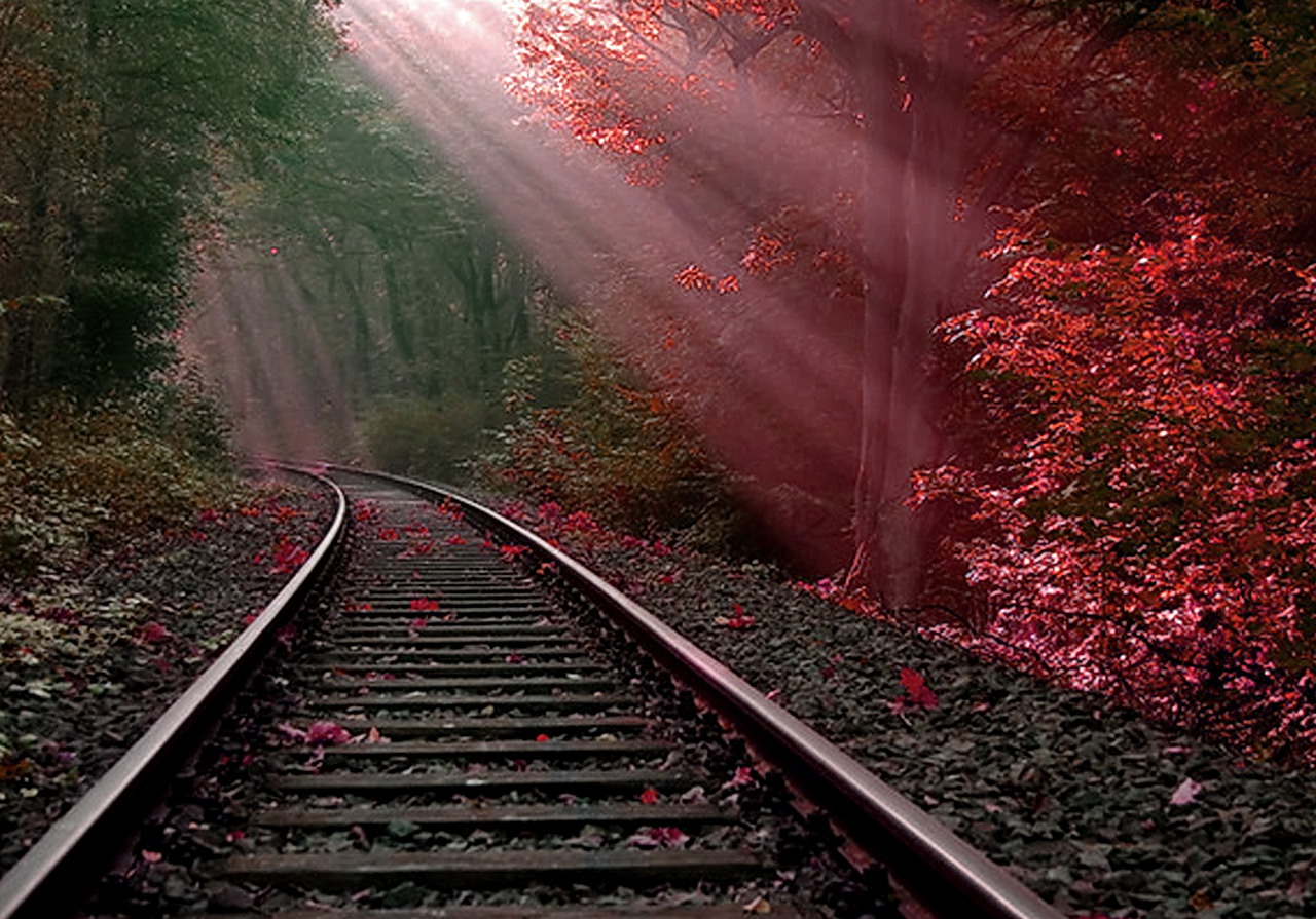 bush, man made, railroad, sunbeam Full HD