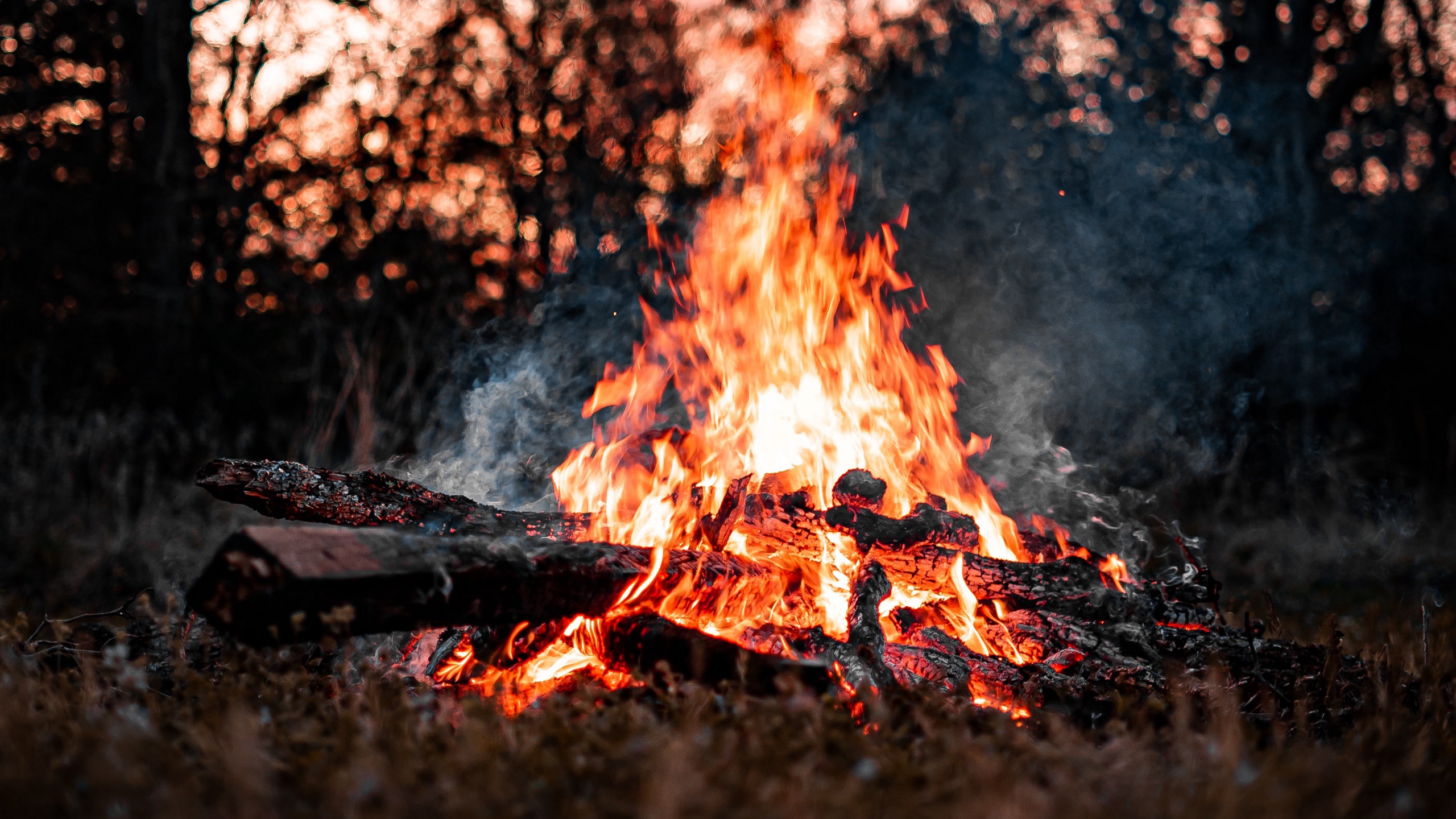 firewood, fire, bonfire, photography, smoke, flame HD wallpaper