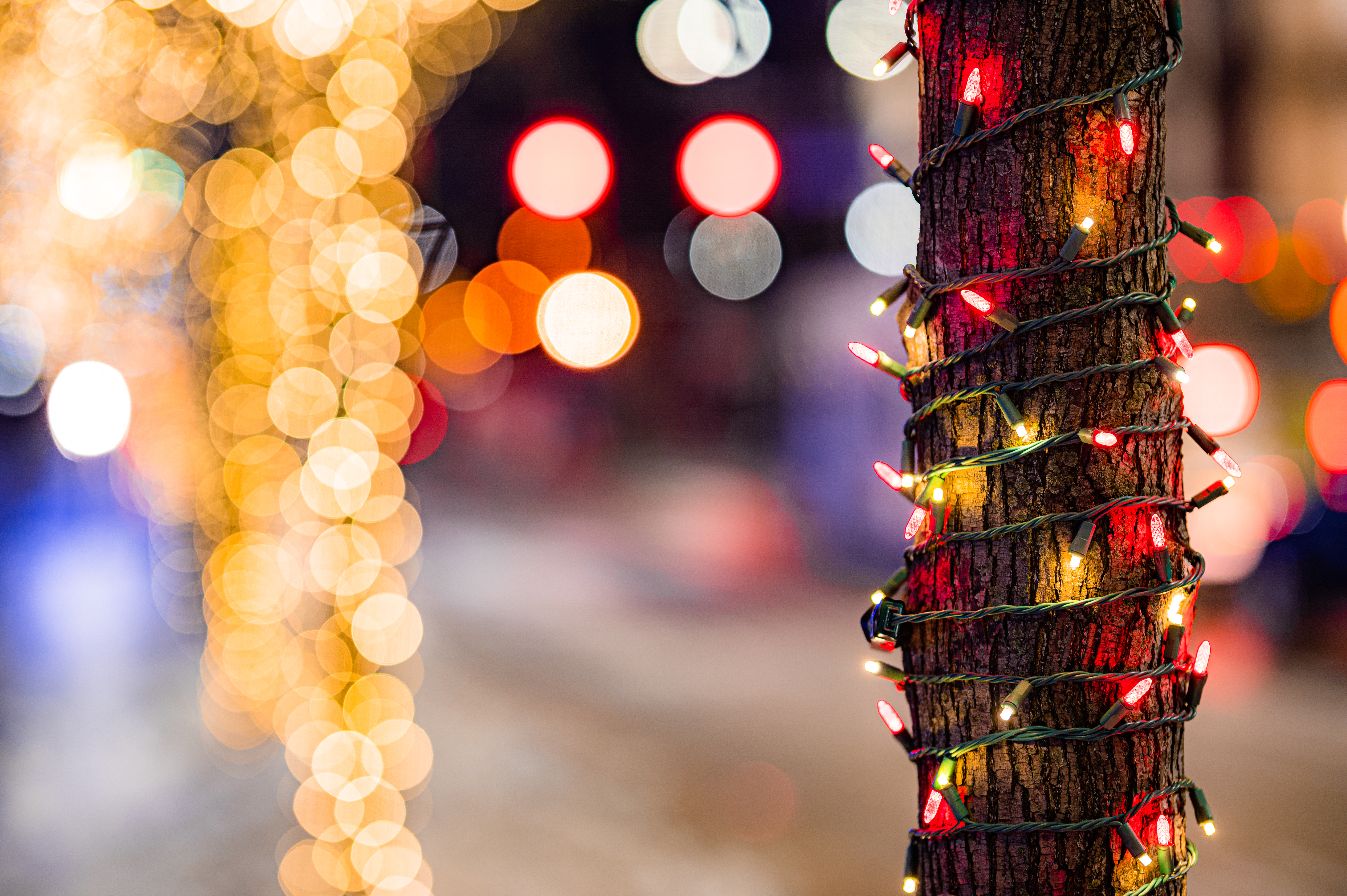 lights, holidays, glare, wood, multicolored, motley, tree, garland HD wallpaper