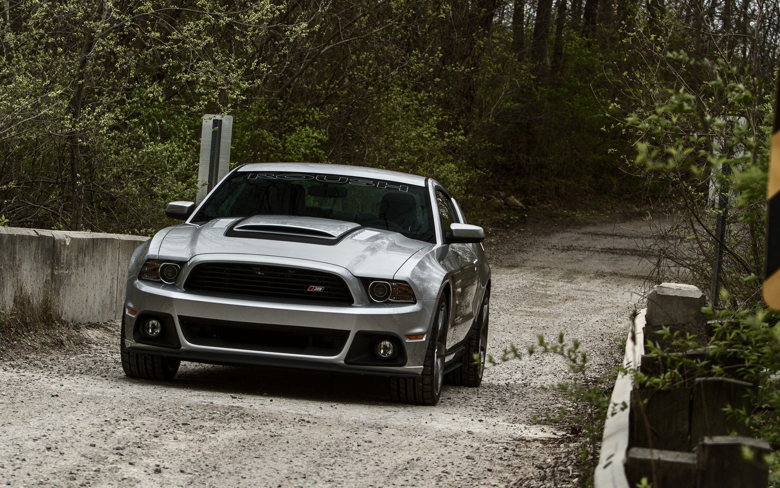 mustang, cars, nature, ford, road for android