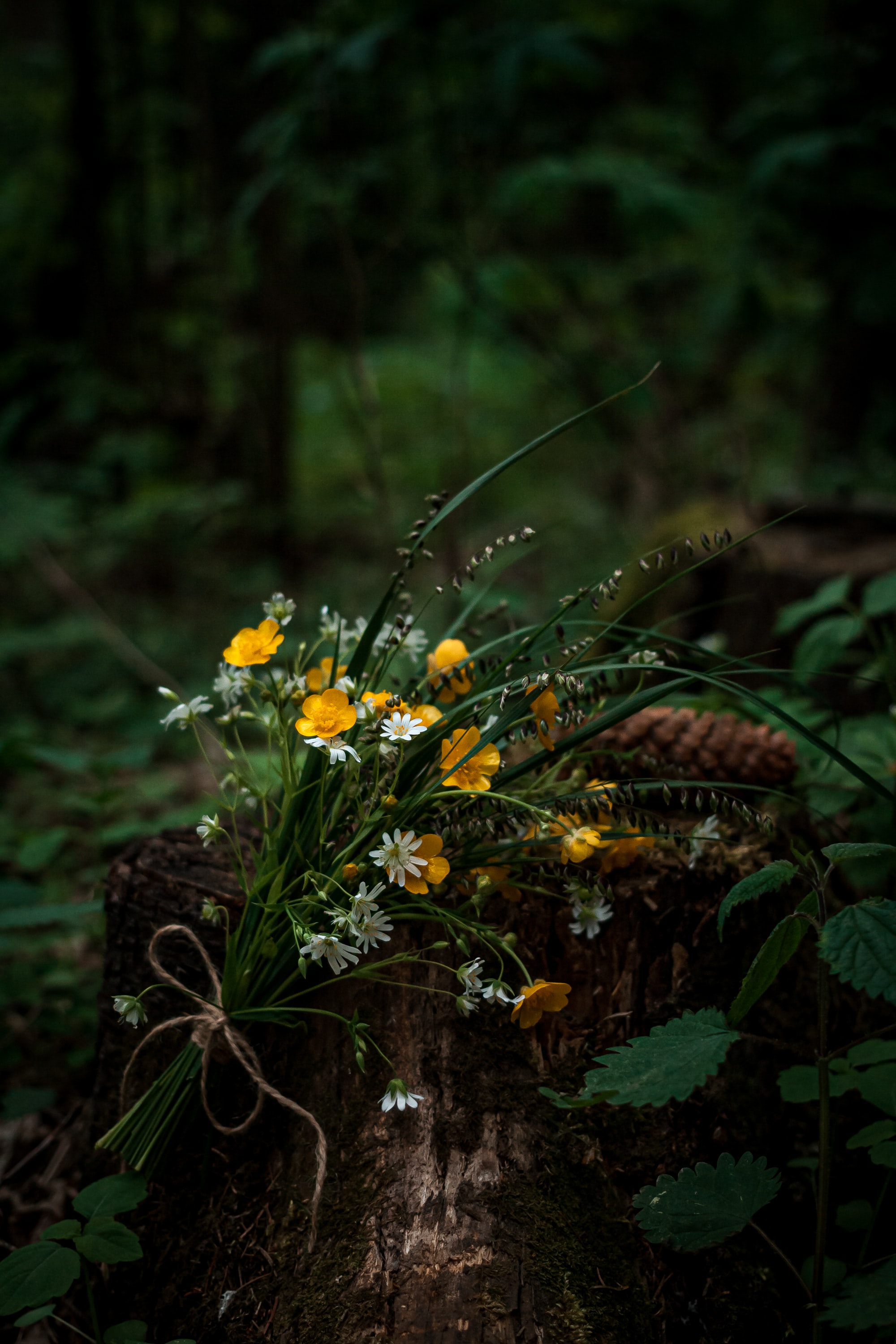 wildflowers, bouquet, flowers, forest HD wallpaper