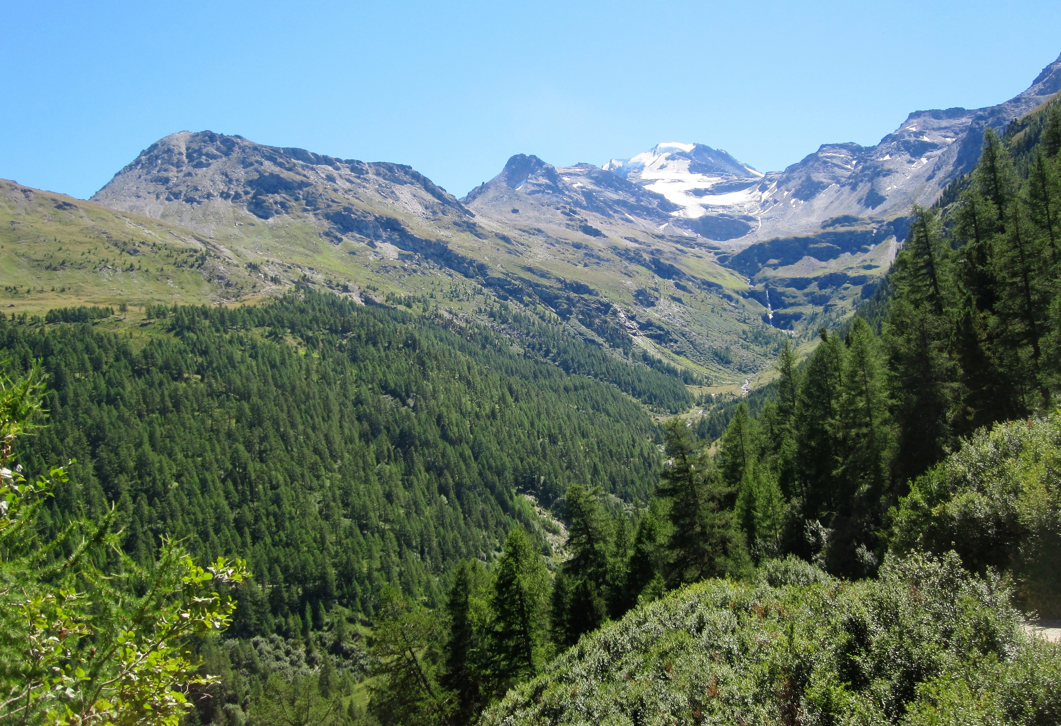 144741 Bildschirmschoner und Hintergrundbilder Alpen auf Ihrem Telefon. Laden Sie natur, bäume, mountains, alpen, schweiz Bilder kostenlos herunter