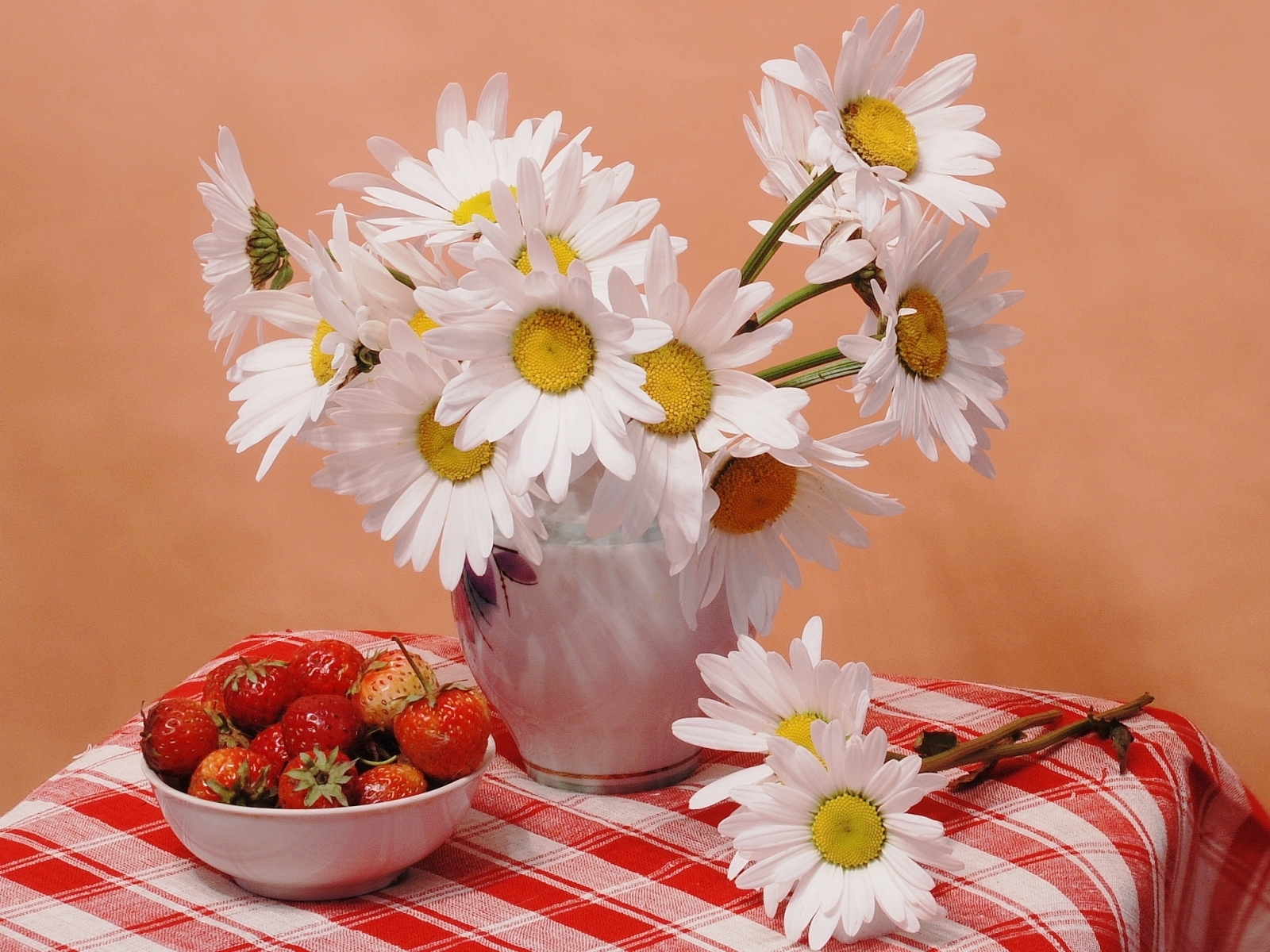 plants, flowers, food, strawberry, camomile, red