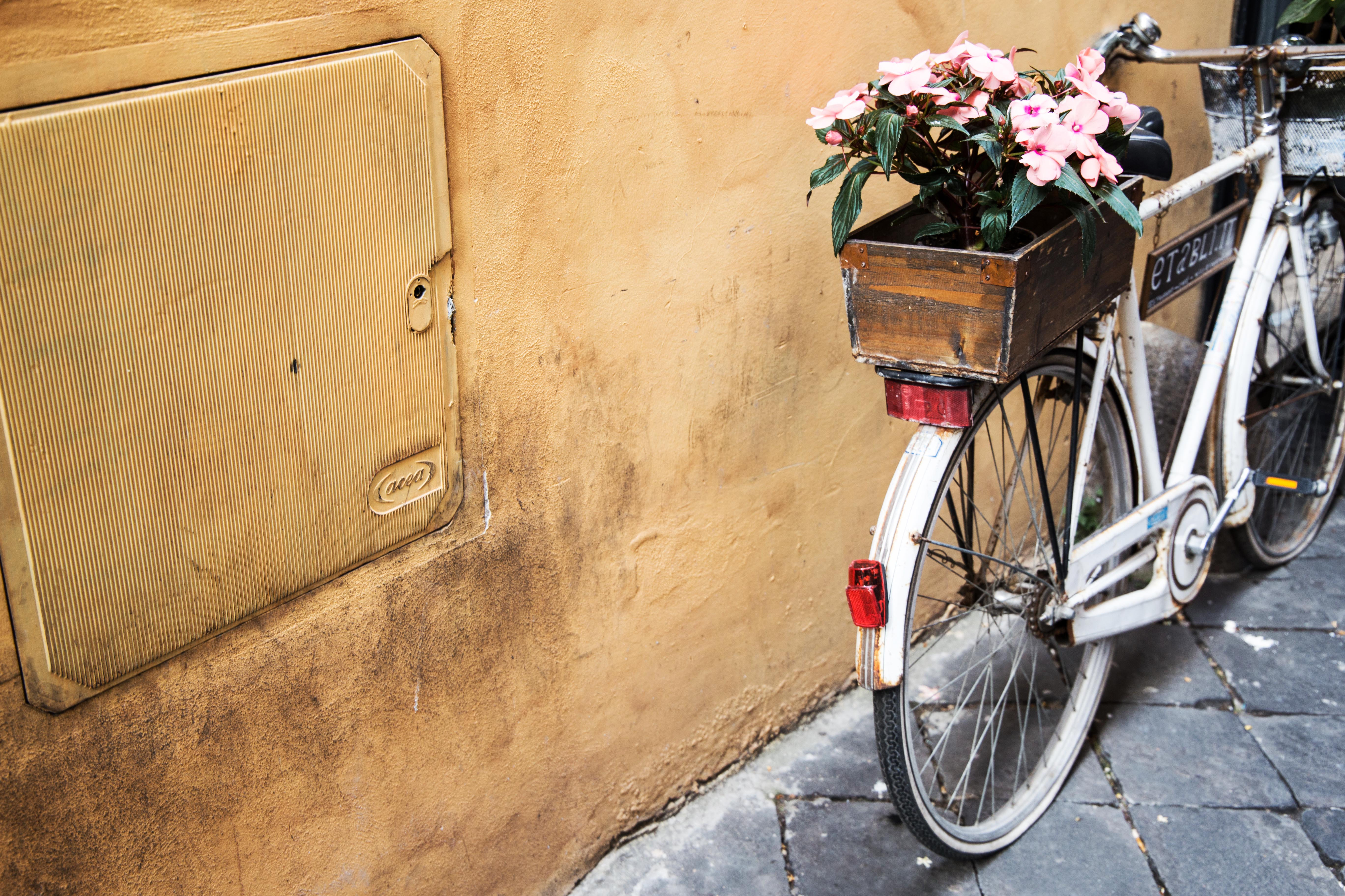 flowers, basket, bicycle 4K
