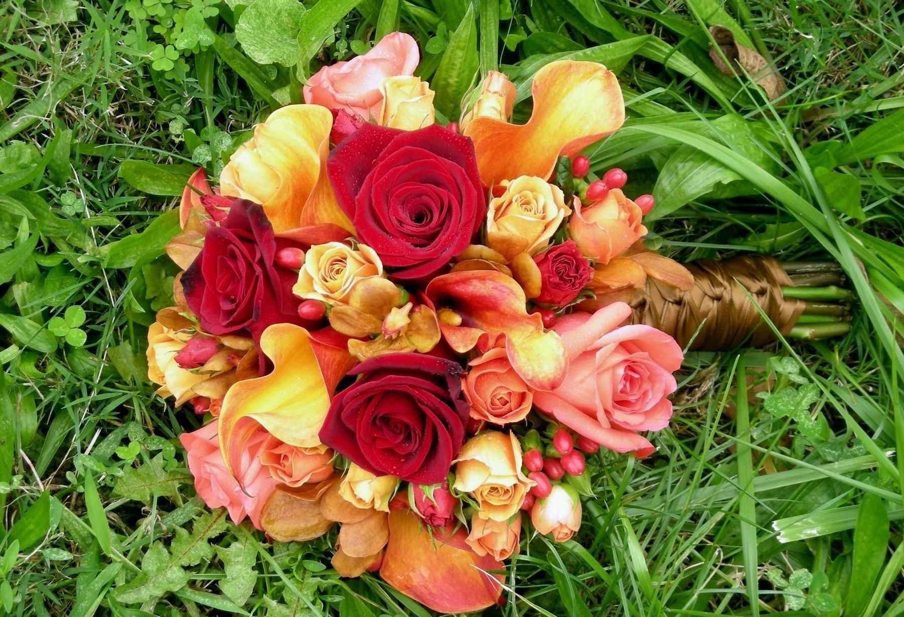 Laden Sie das Blumen, Grass, Roses, Strauß, Bouquet, Calla, Callas, Orchideen-Bild kostenlos auf Ihren PC-Desktop herunter