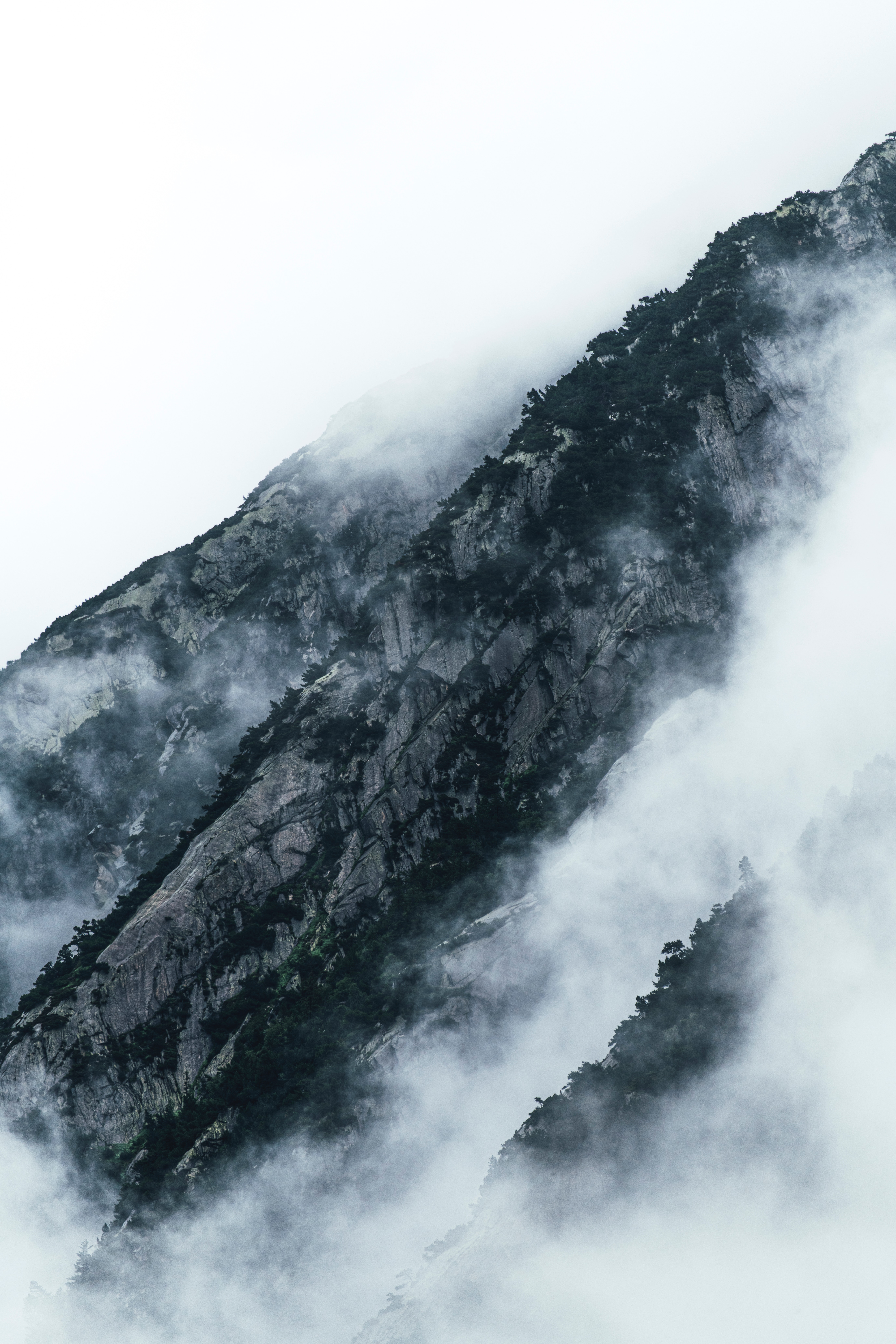 56435 скачать обои склоны, горы, растительность, туман, облака, природа - заставки и картинки бесплатно