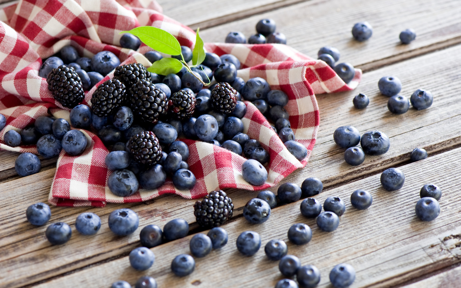 blackberry, food, plants, berries Windows Mobile Wallpaper