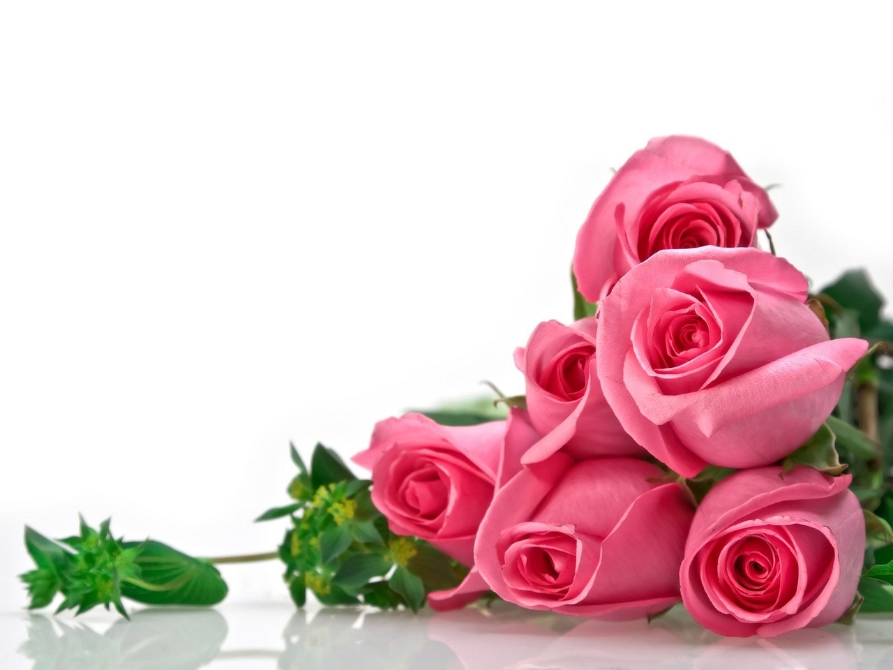 Handy-Wallpaper Feiertage, Pflanzen, Blumen, Roses, 8. März Internationaler Frauentag kostenlos herunterladen.